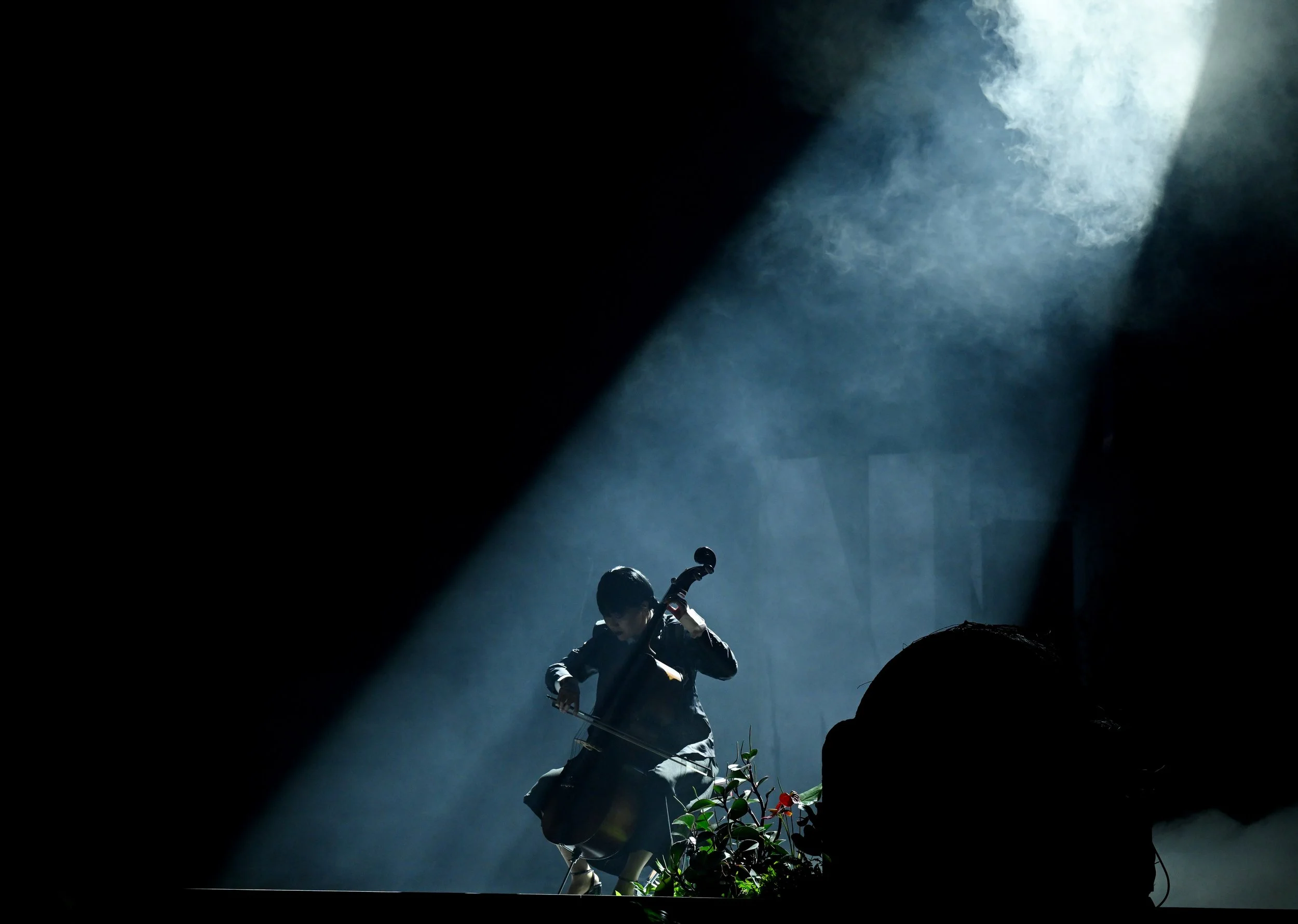 Lily Mateljan Costume design