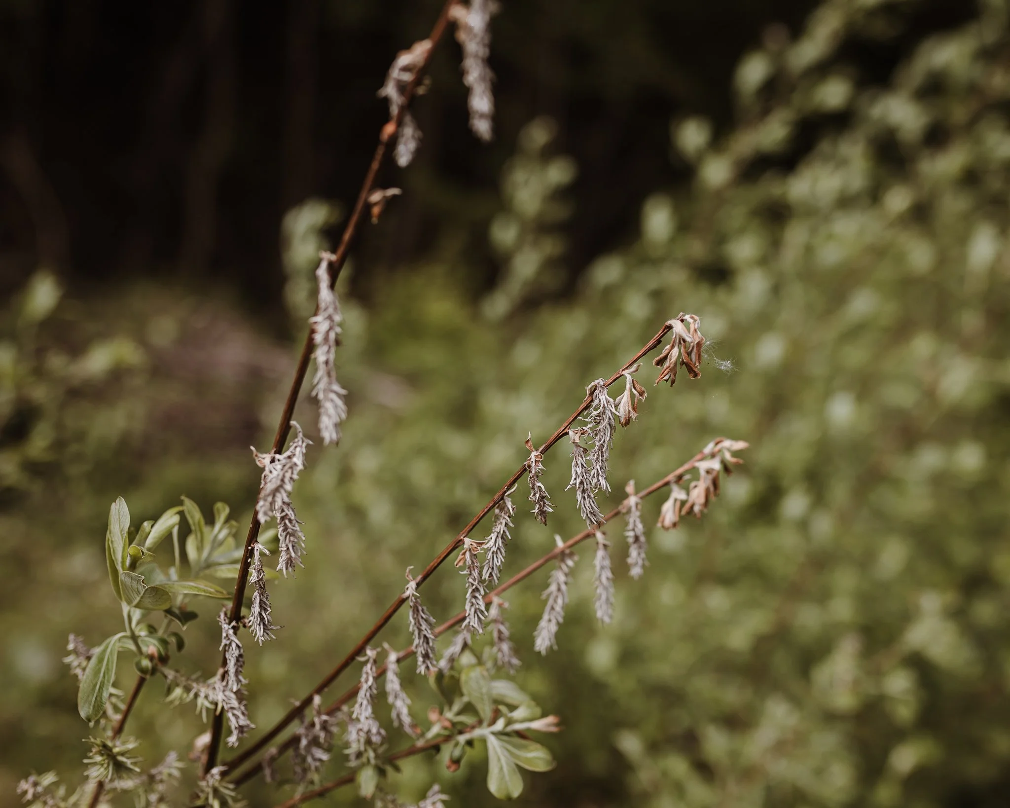 Morganna Monk Photography-PorterFamily-8.jpg