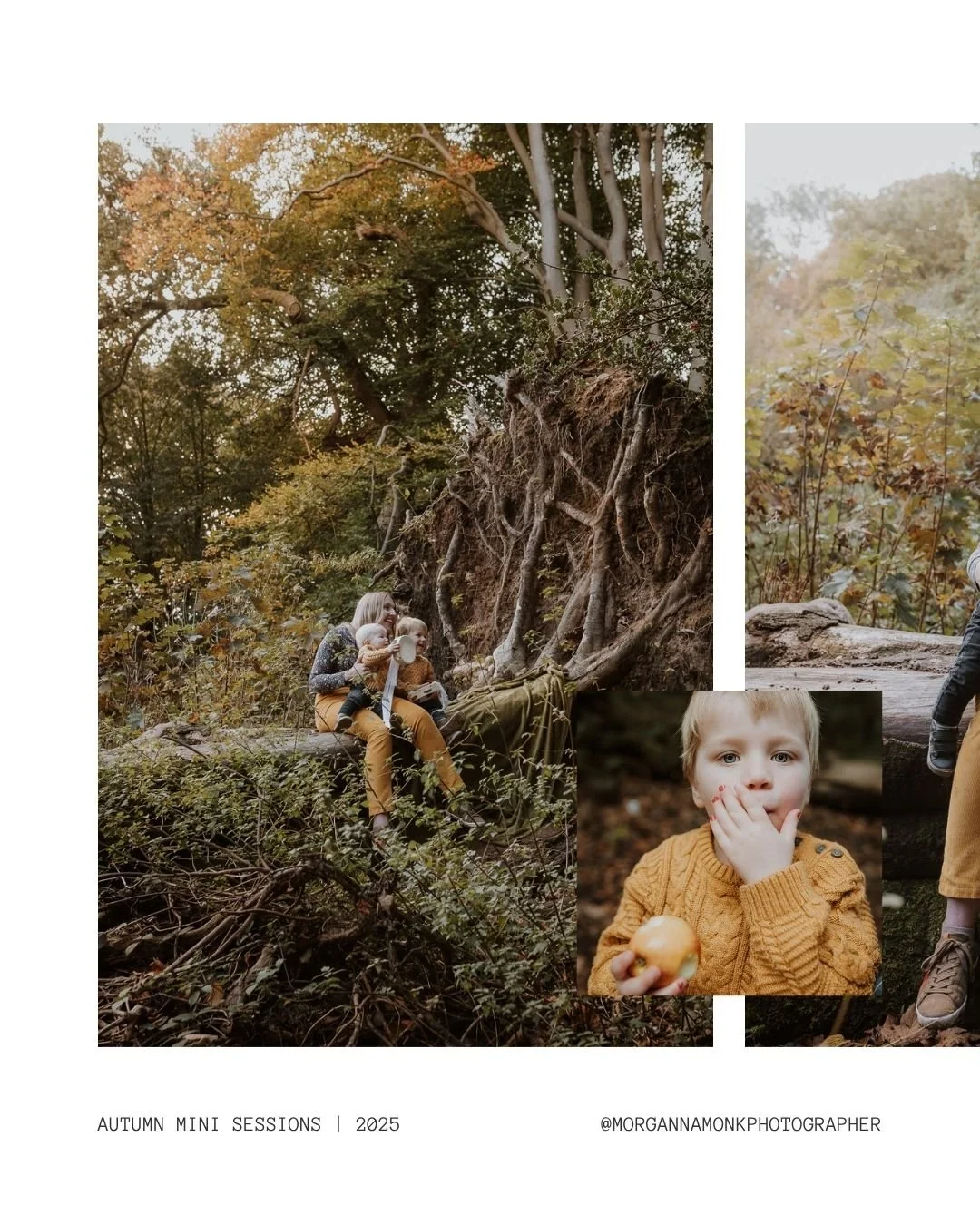 🍂Autumn Mini Sessions – Now Booking🍂
My autumn mini sessions are now open for booking! These short and sweet sessions are designed to capture your family as you are right now — the laughter, the love, and the in-between moments. They&r