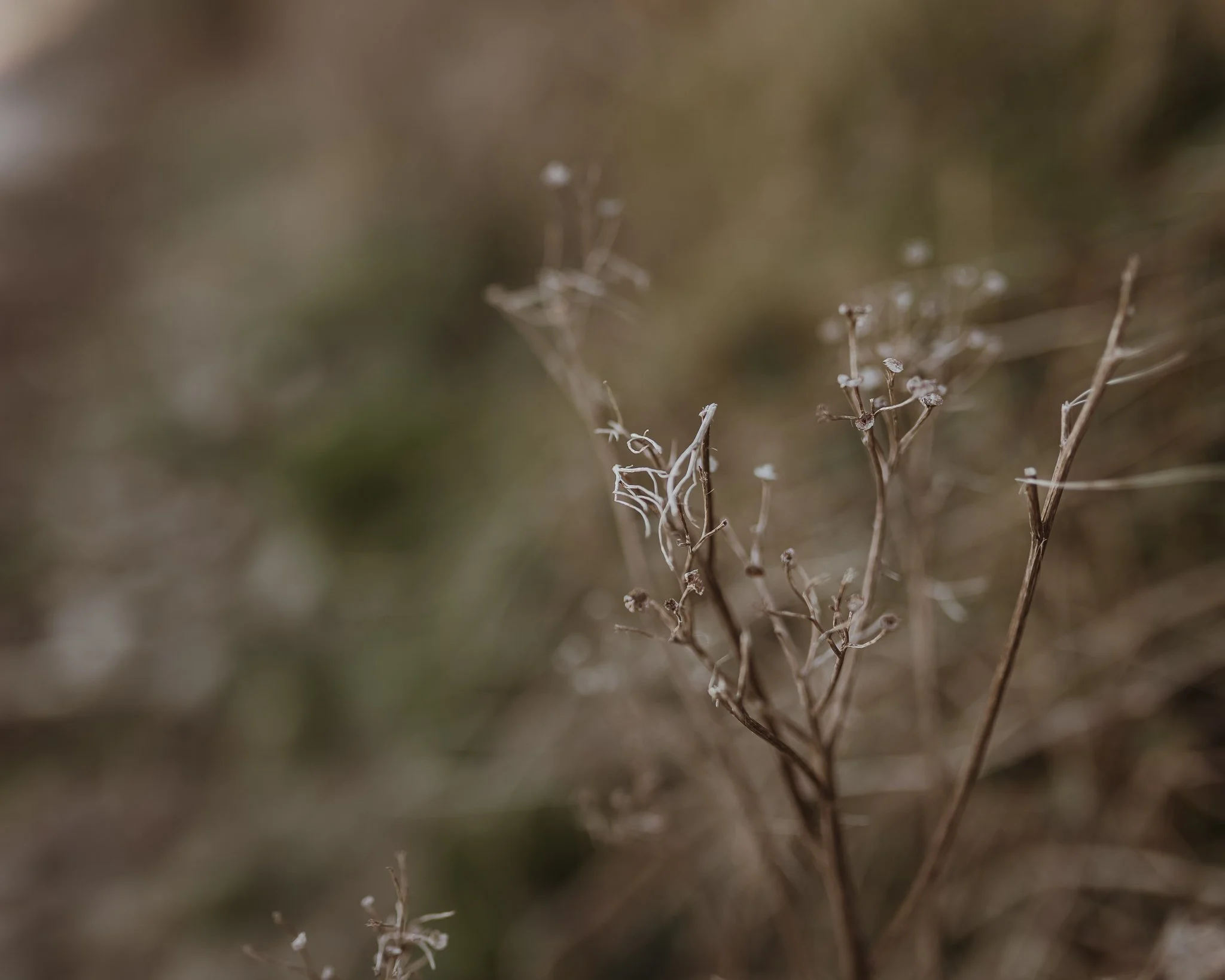 Morganna Monk Photography-Bridget&Max-21.jpg