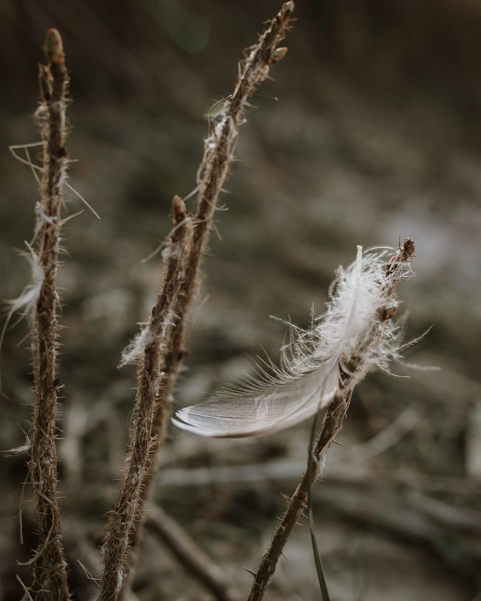 Morganna Monk Photography-Anna&Isaac-1.jpg