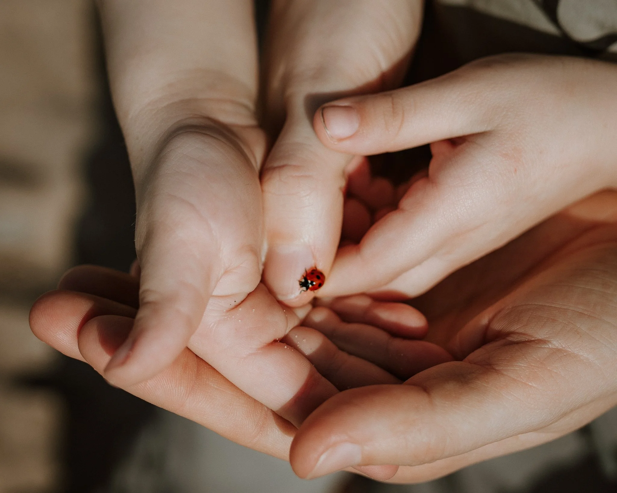 Morganna Monk Photography-Anna&Isaac-51.jpg