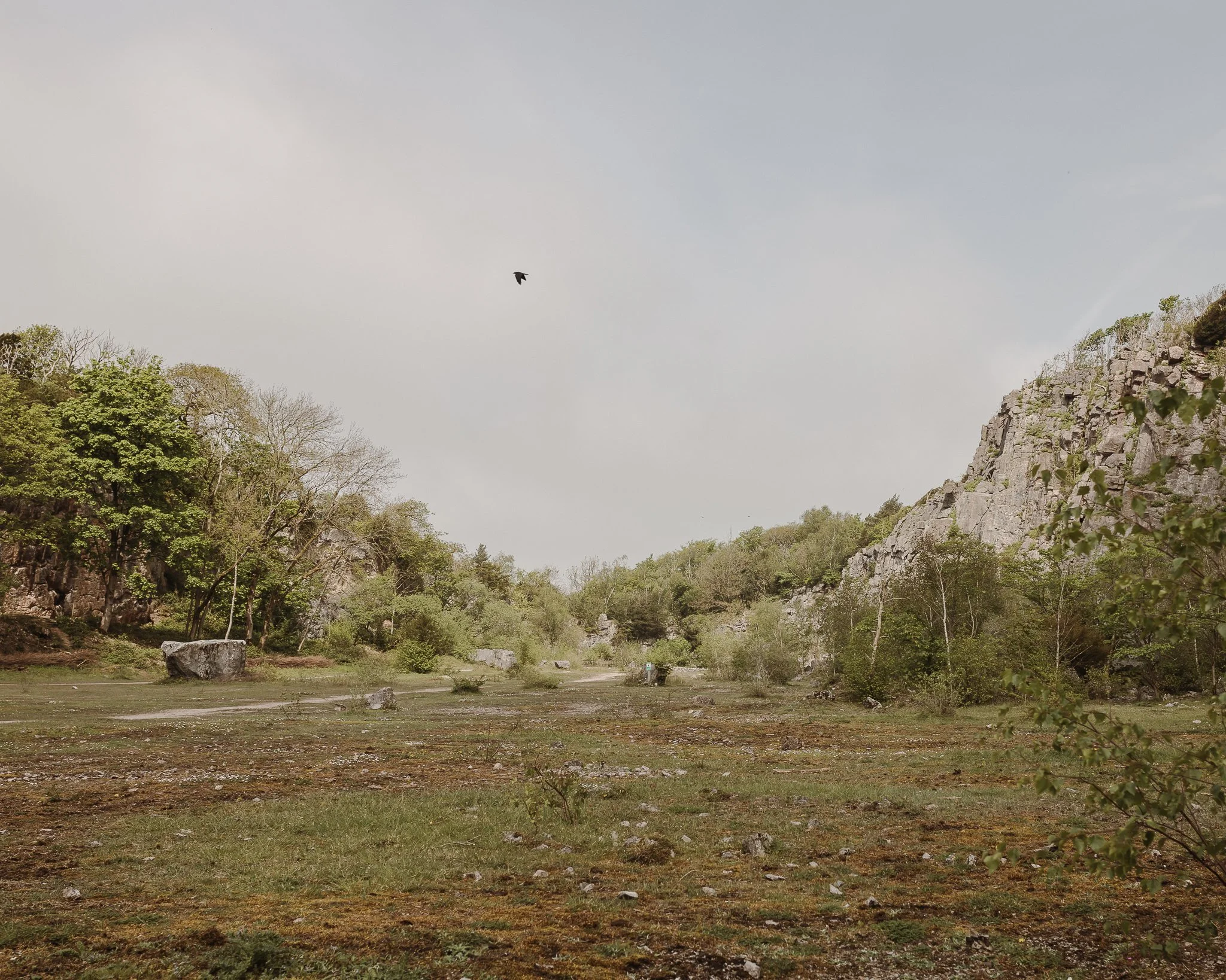 Morganna Monk Photography-TeasdaleFamily-1.jpg