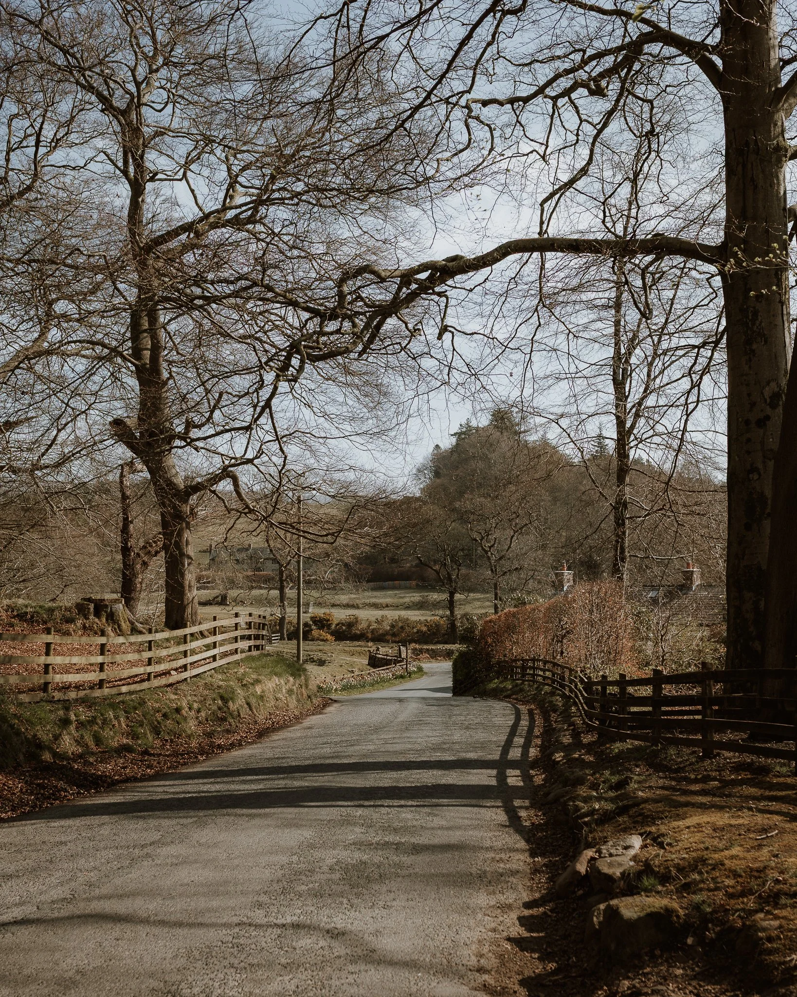 Morganna Monk Photography-DurdyFamily-5.jpg