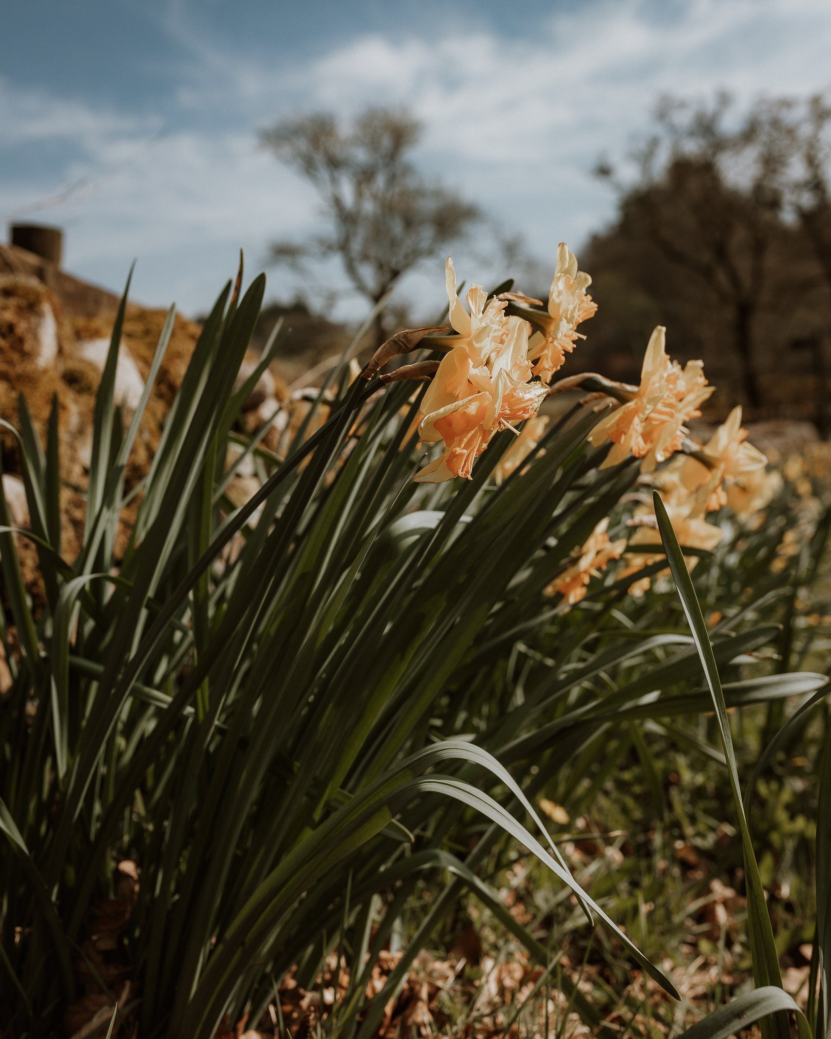 Morganna Monk Photography-DurdyFamily-10.jpg