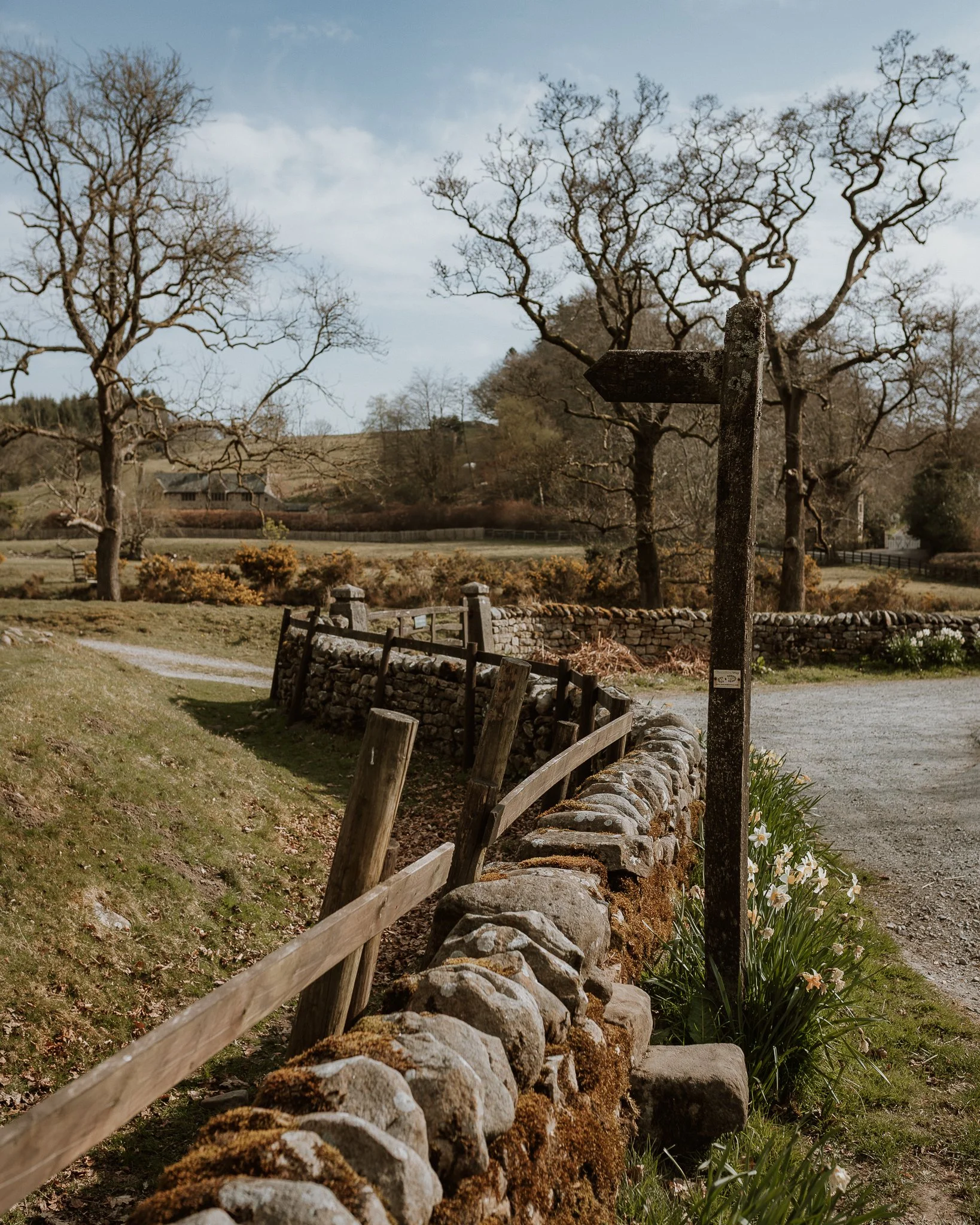 Morganna Monk Photography-DurdyFamily-20.jpg