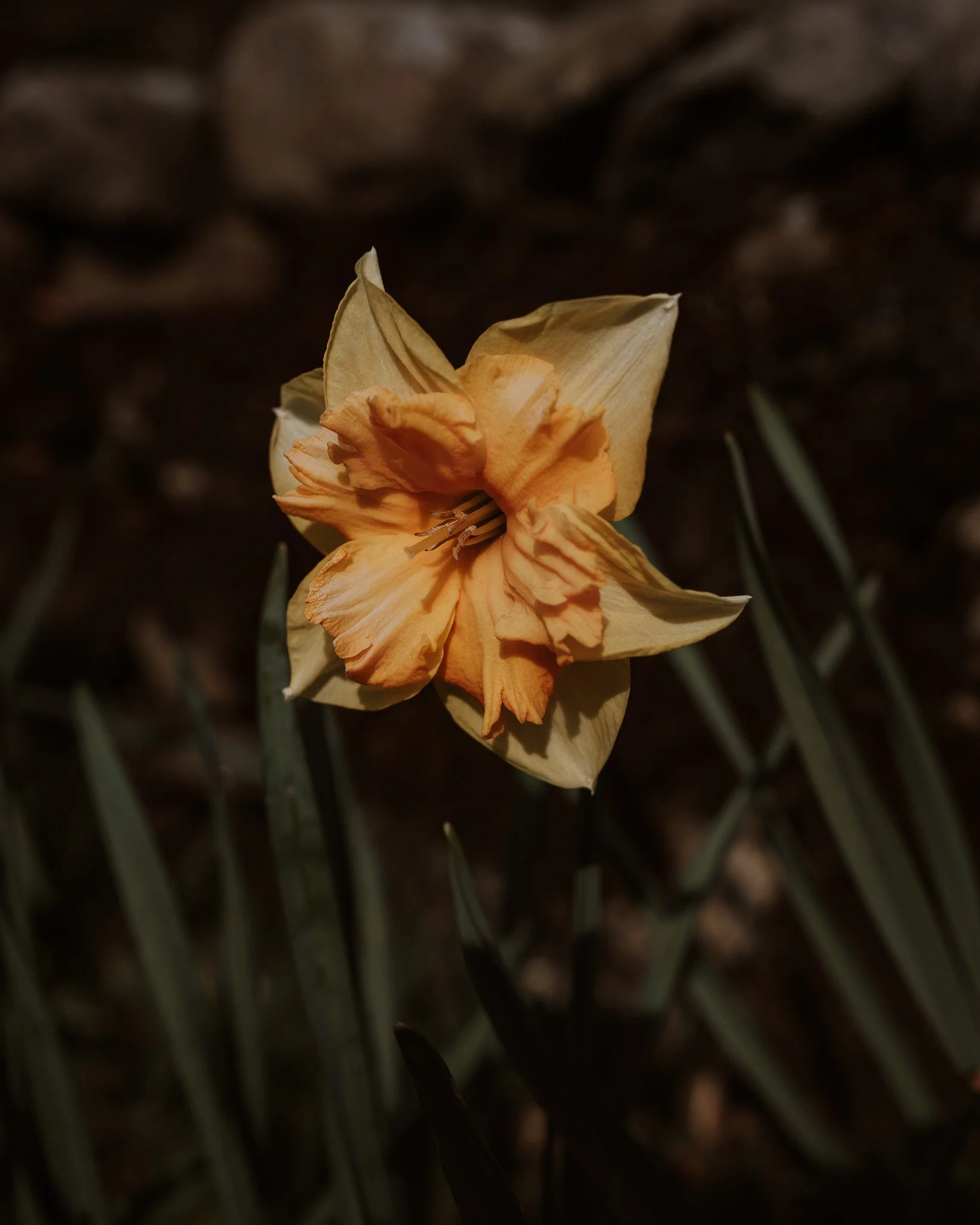 Morganna Monk Photography-DurdyFamily-35.jpg