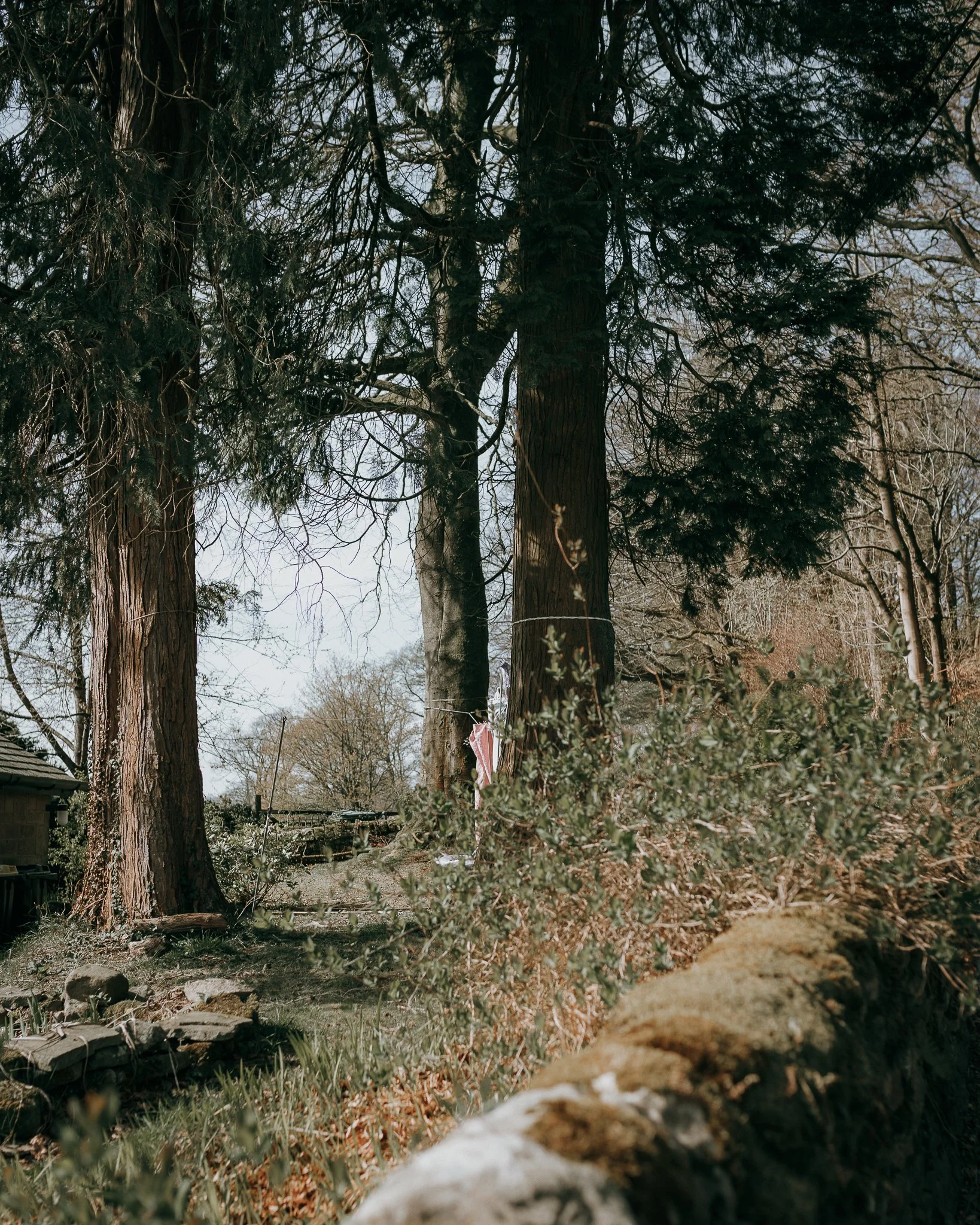 Morganna Monk Photography-DurdyFamily-47.jpg