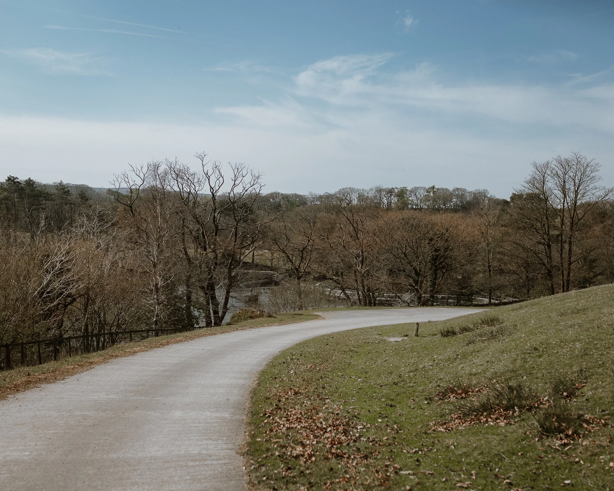 Morganna Monk Photography-DurdyFamily-68.jpg