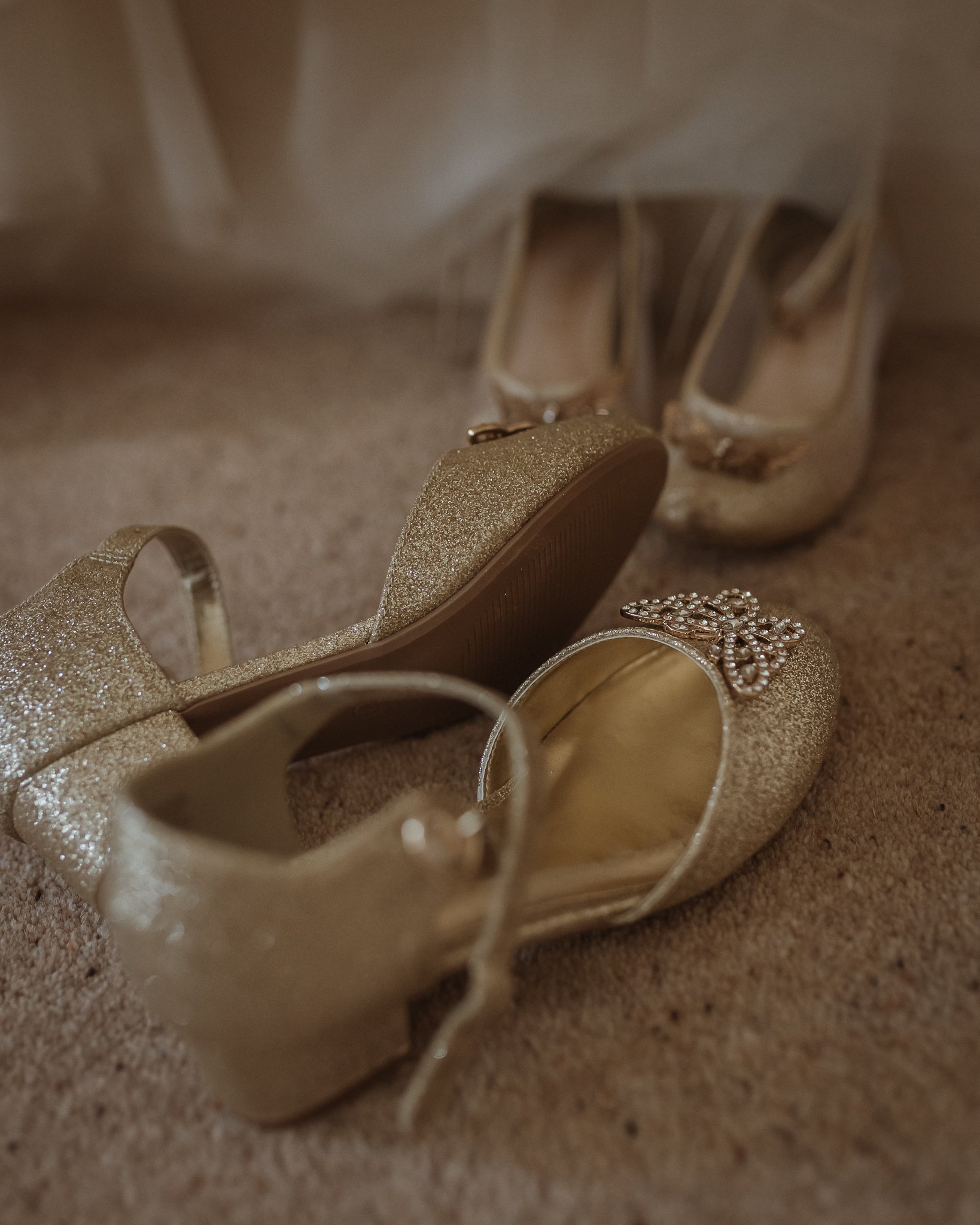 Morganna Monk Photography-HaslamWeddingRenewal-11.jpg