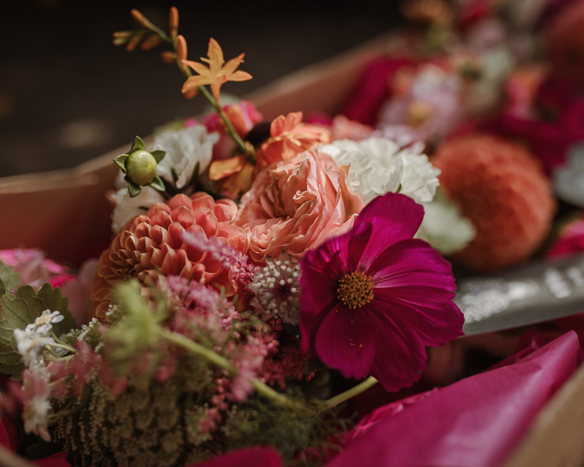 Morganna Monk Photography-HaslamWeddingRenewal-42.jpg