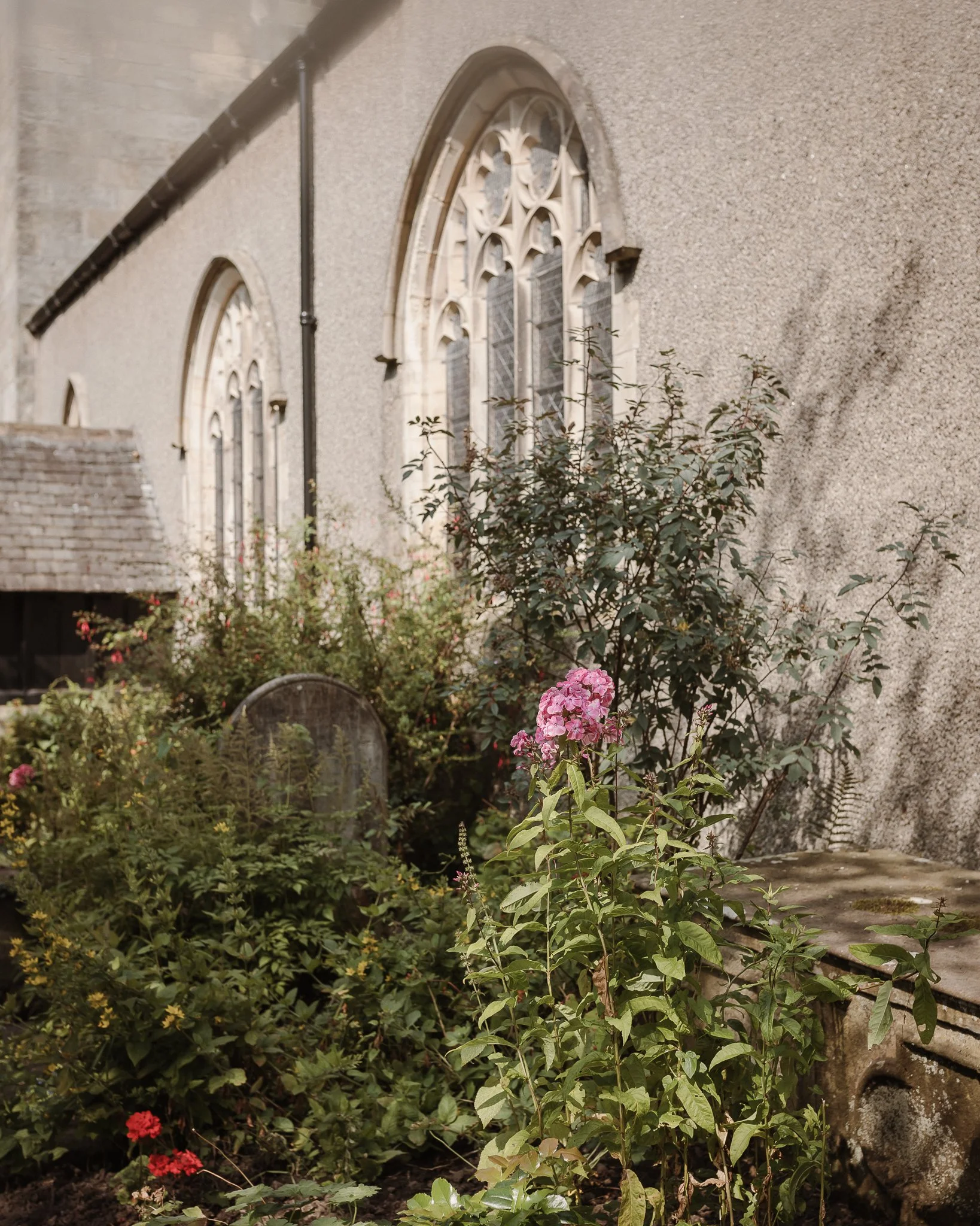 Morganna Monk Photography-HaslamWeddingRenewal-55.jpg