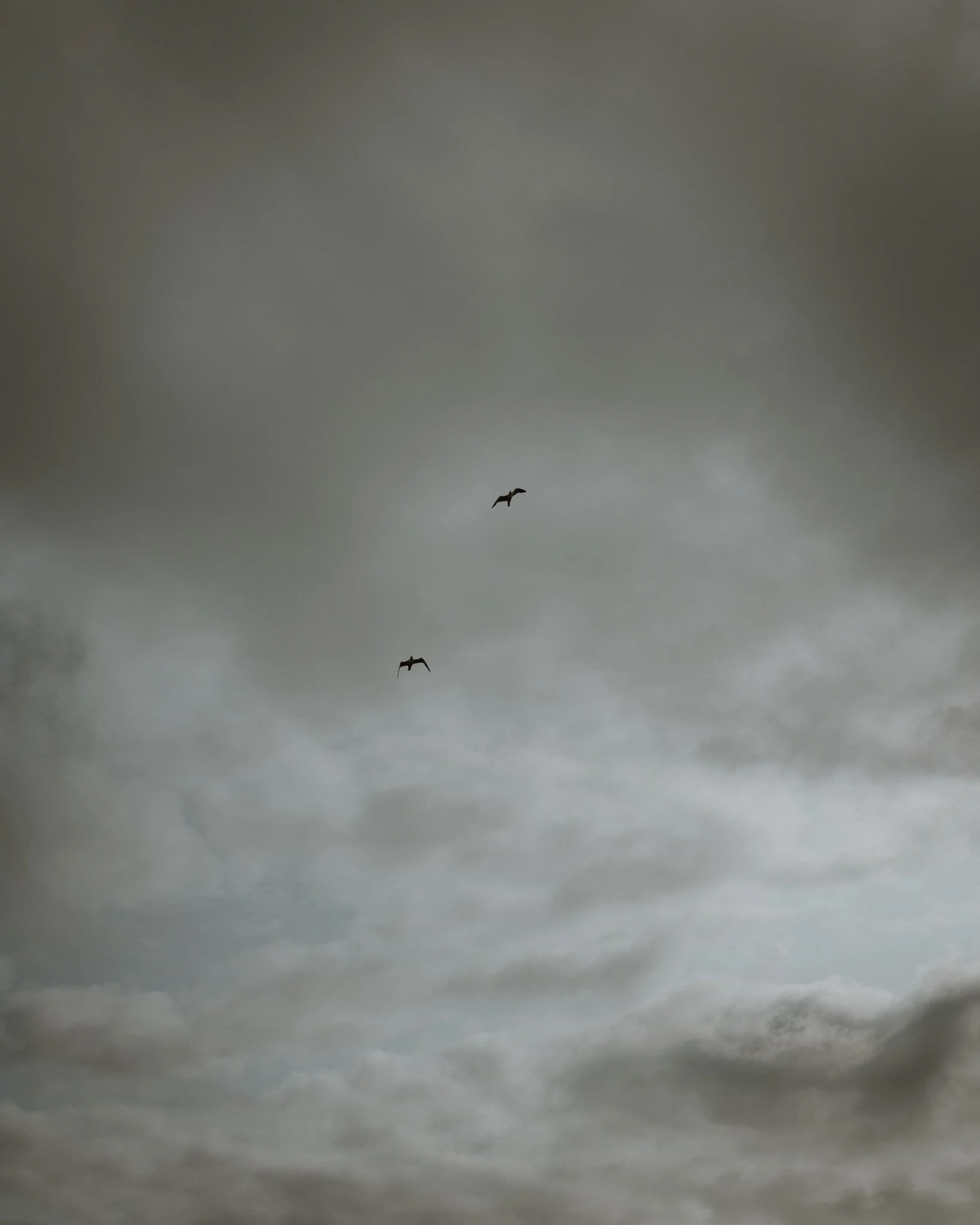 Morganna Monk Photography-BernardisFamily-1.jpg