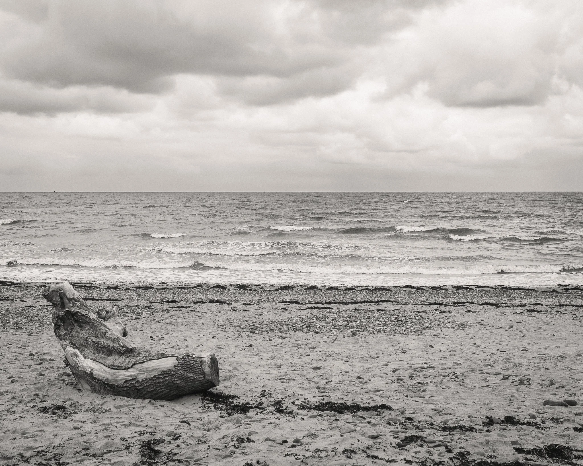 Morganna Monk Photography-BernardisFamily-4.jpg