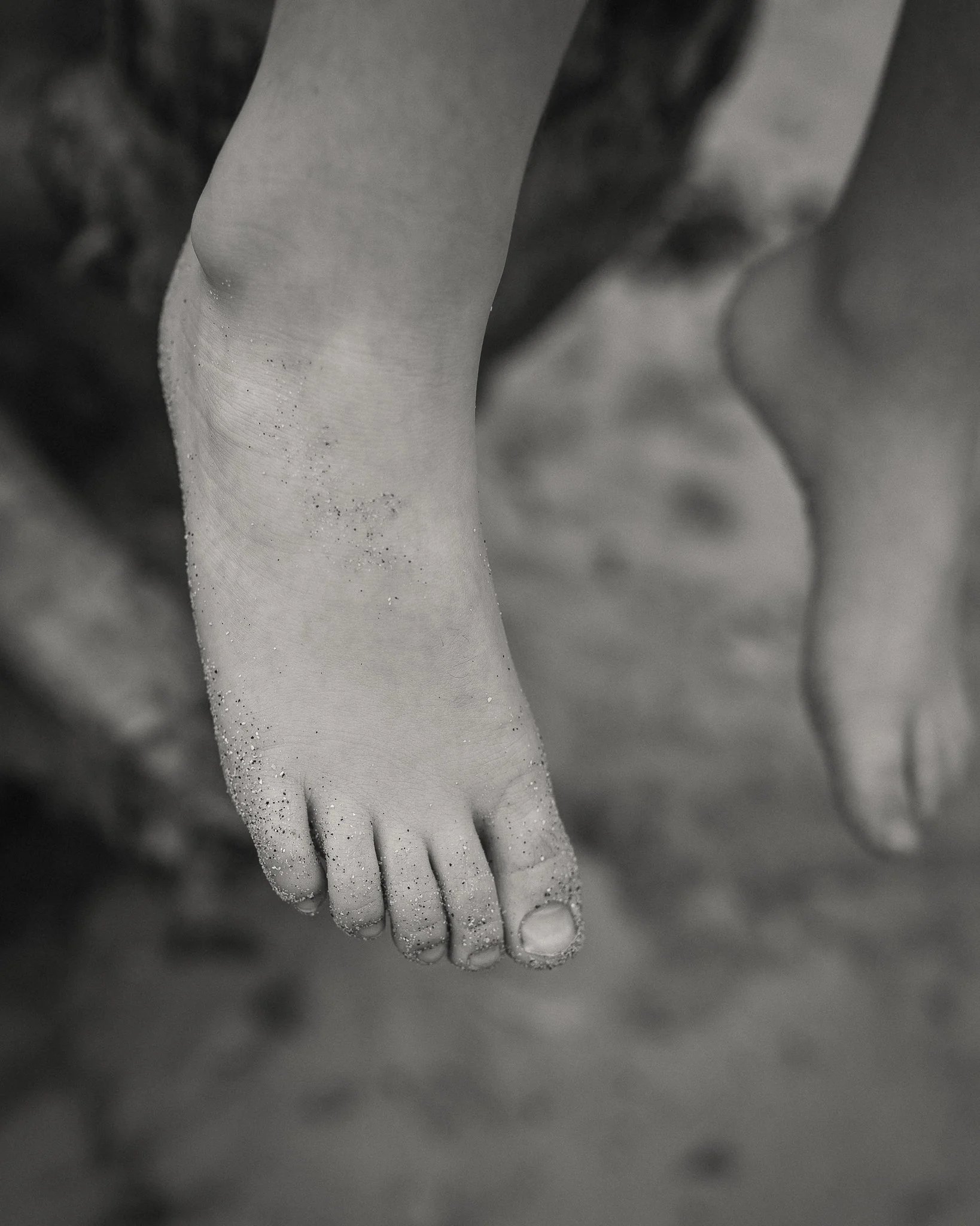 Morganna Monk Photography-BernardisFamily-26.jpg