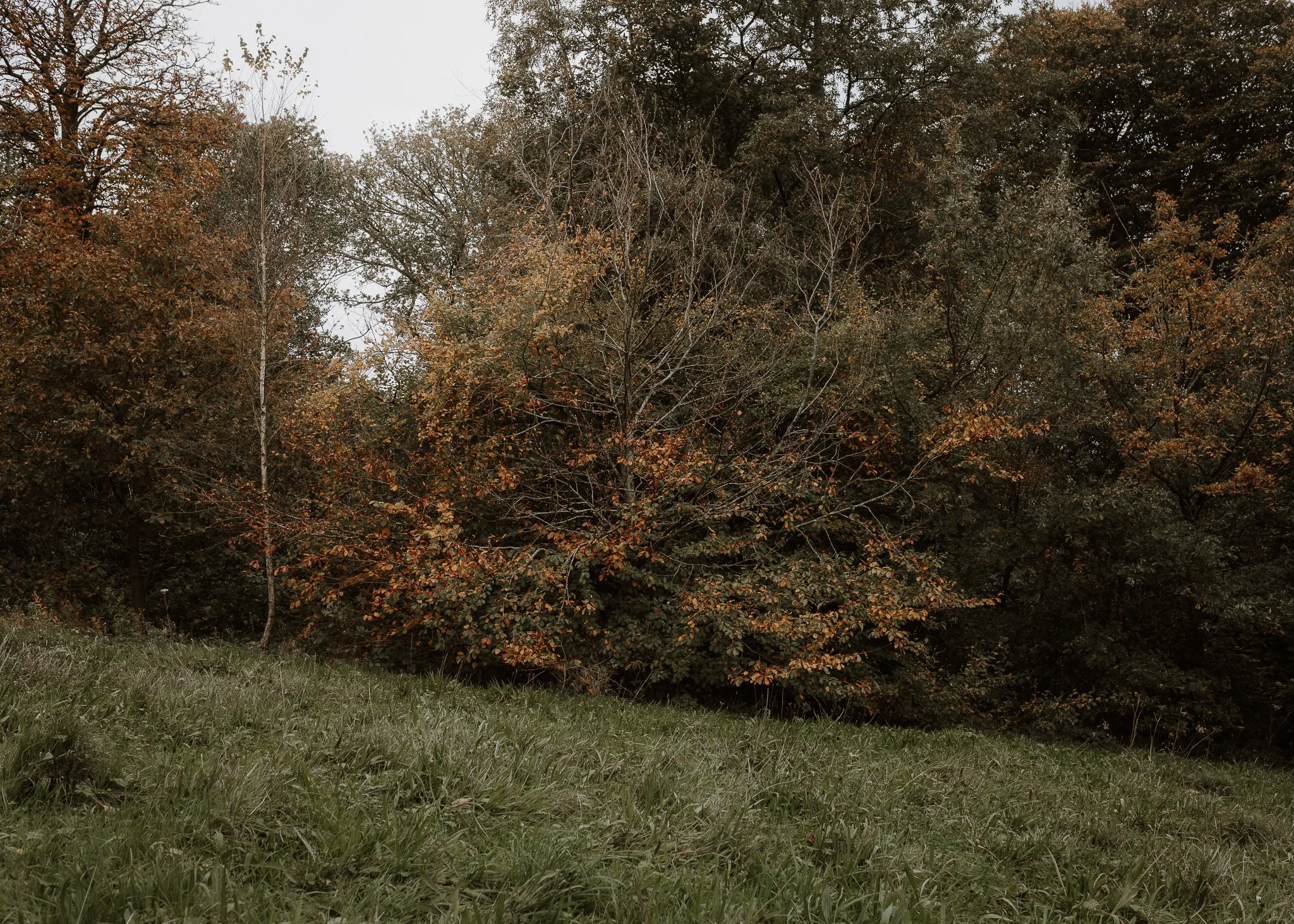 Morganna Monk Photography-BadalFamily#5.jpg