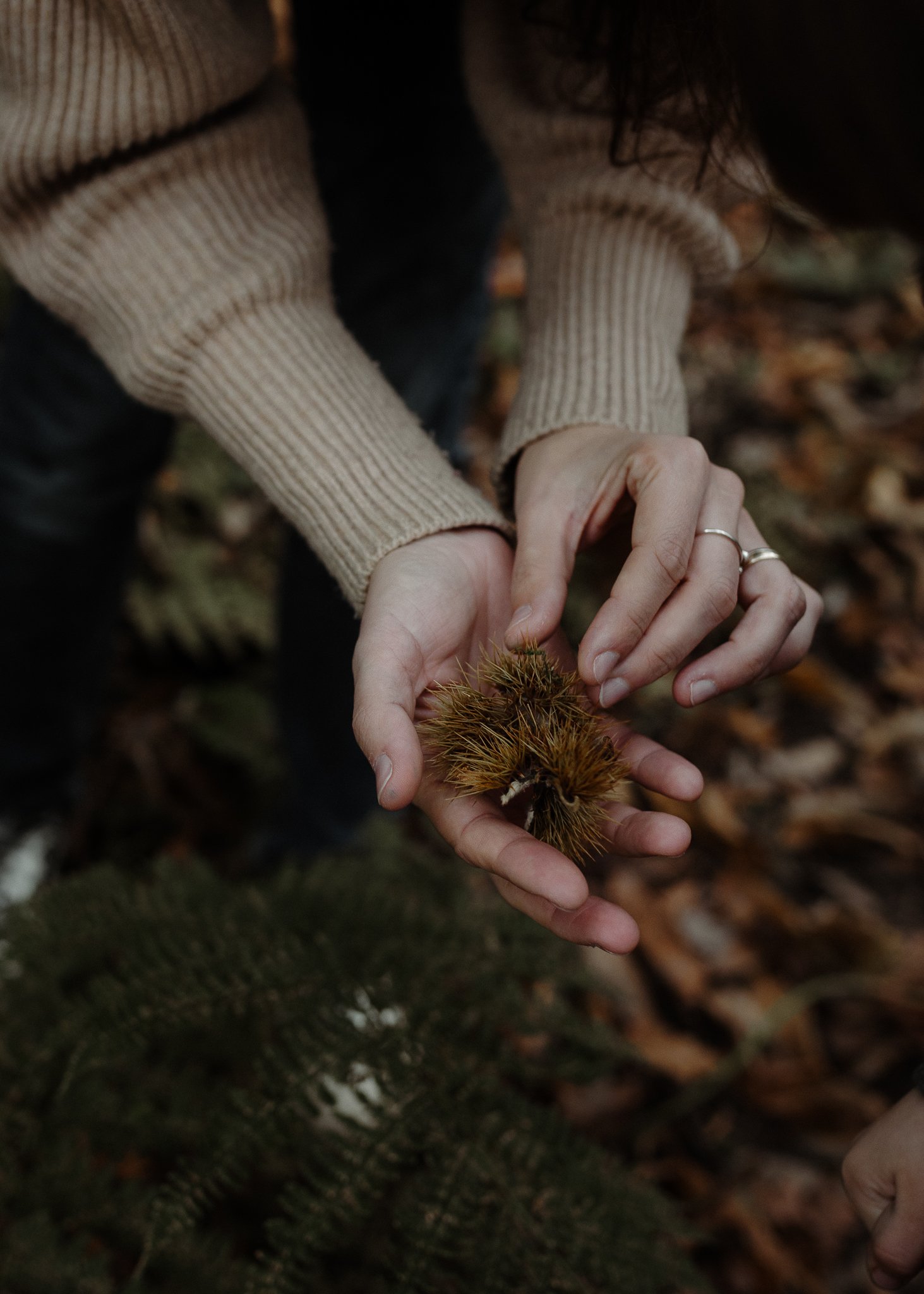 Morganna Monk Photography-BadalFamily#18.jpg