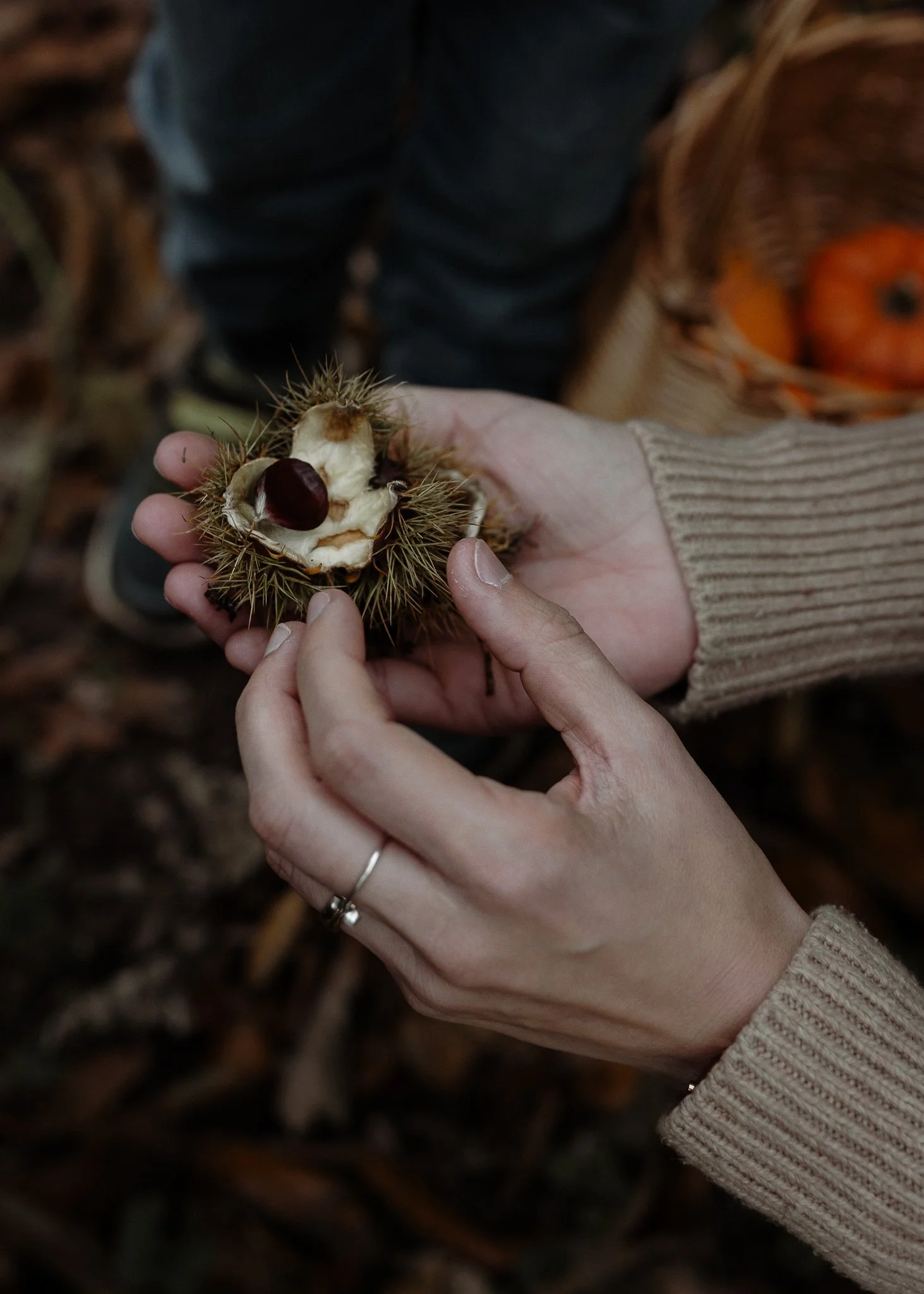 Morganna Monk Photography-BadalFamily#21.jpg