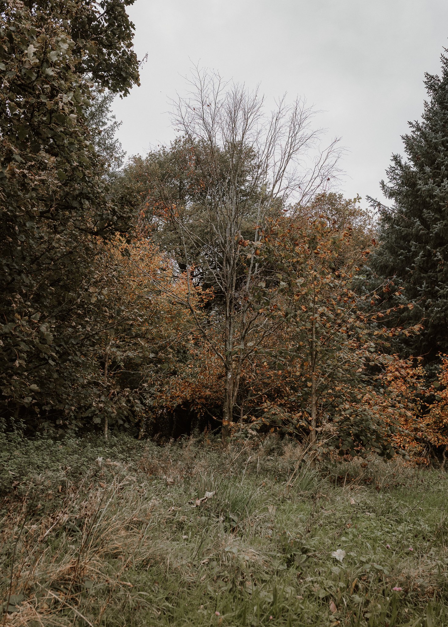 Morganna Monk Photography-BurbidgeFamily-51.jpg