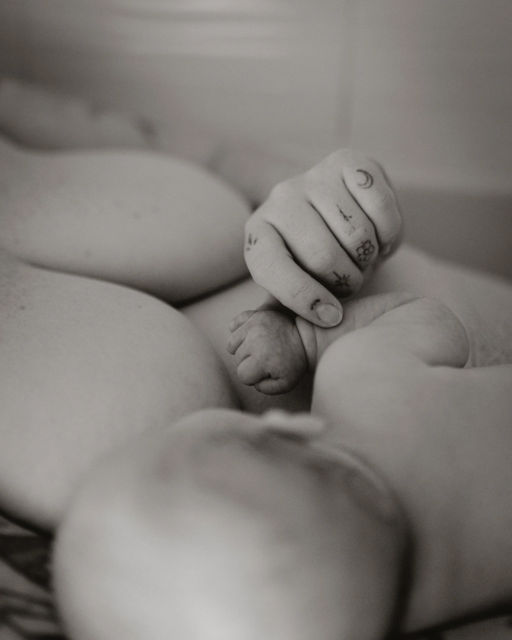 Morganna Monk Photography-Sophie, Flora & Luna-11.jpg
