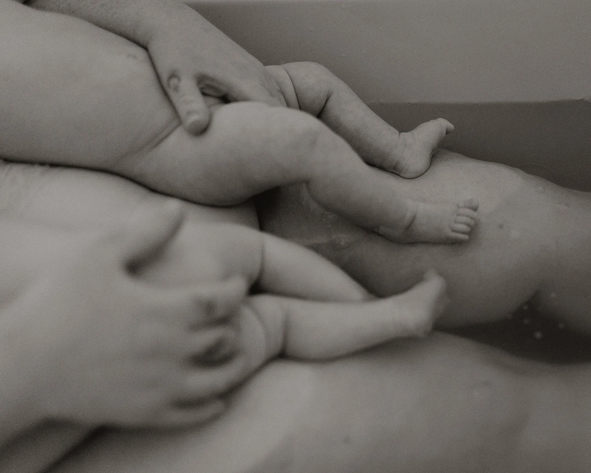 Morganna Monk Photography-Sophie, Flora & Luna-32.jpg