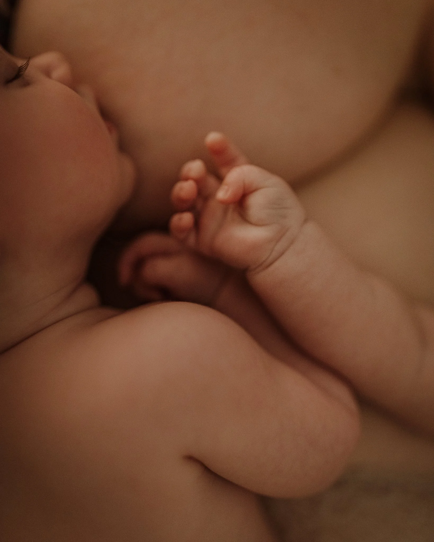 Morganna Monk Photography-Sophie, Flora & Luna-46.jpg