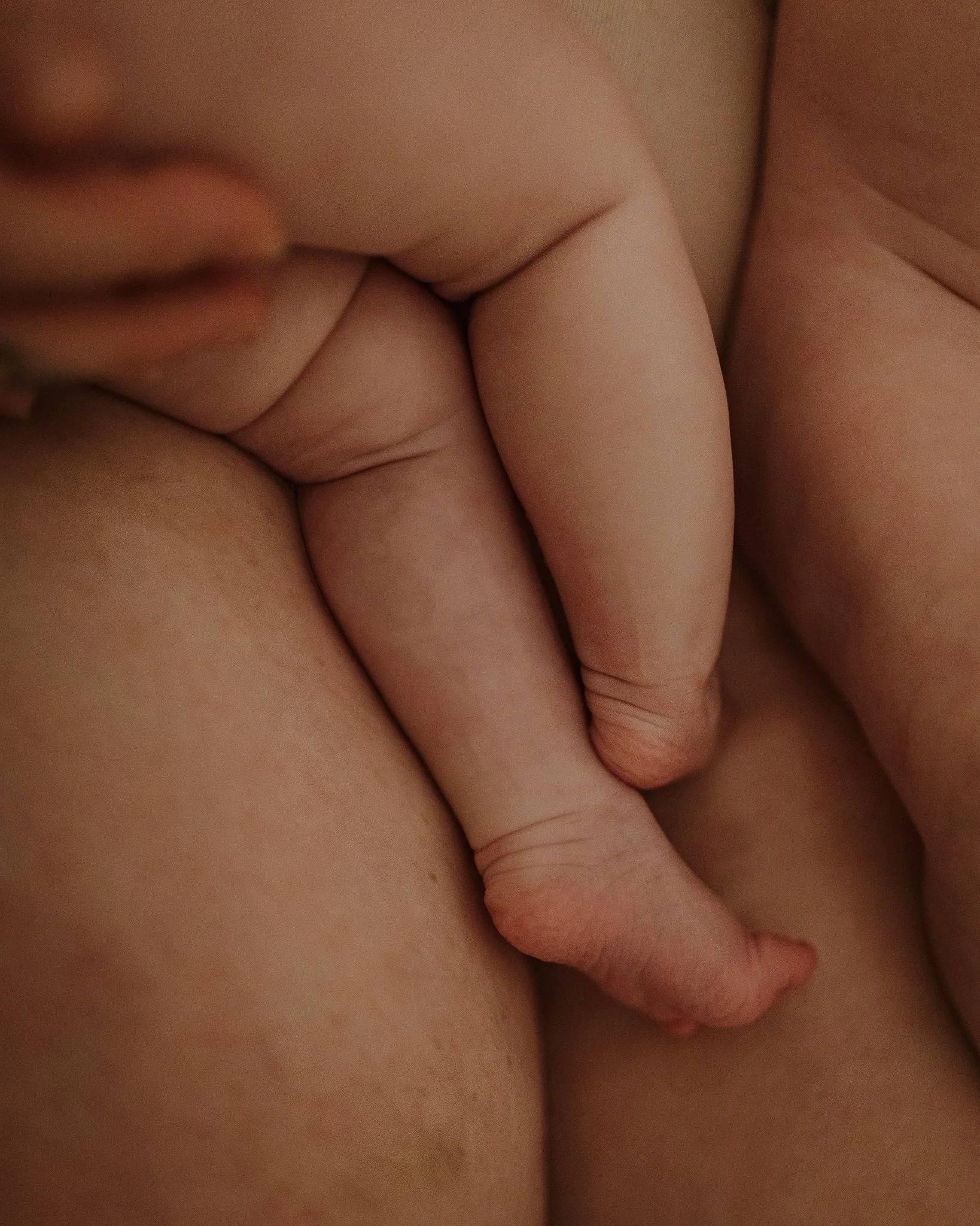 Morganna Monk Photography-Sophie, Flora & Luna-47.jpg