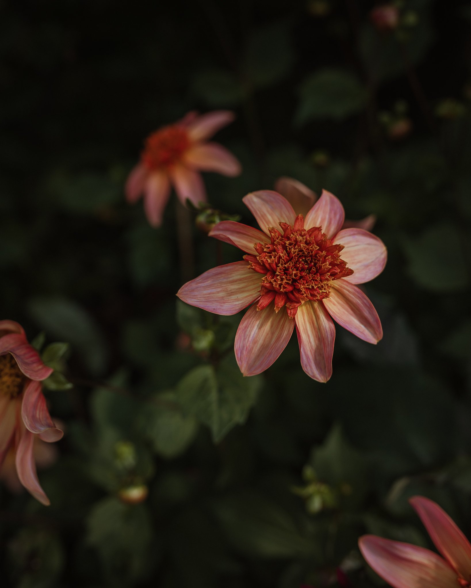 Florals from Jhuliana & Erron's garden party wedding reception