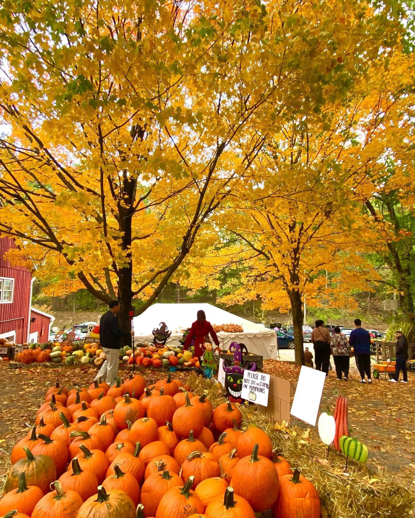 October 🍂🎧🧸🎞️☕️