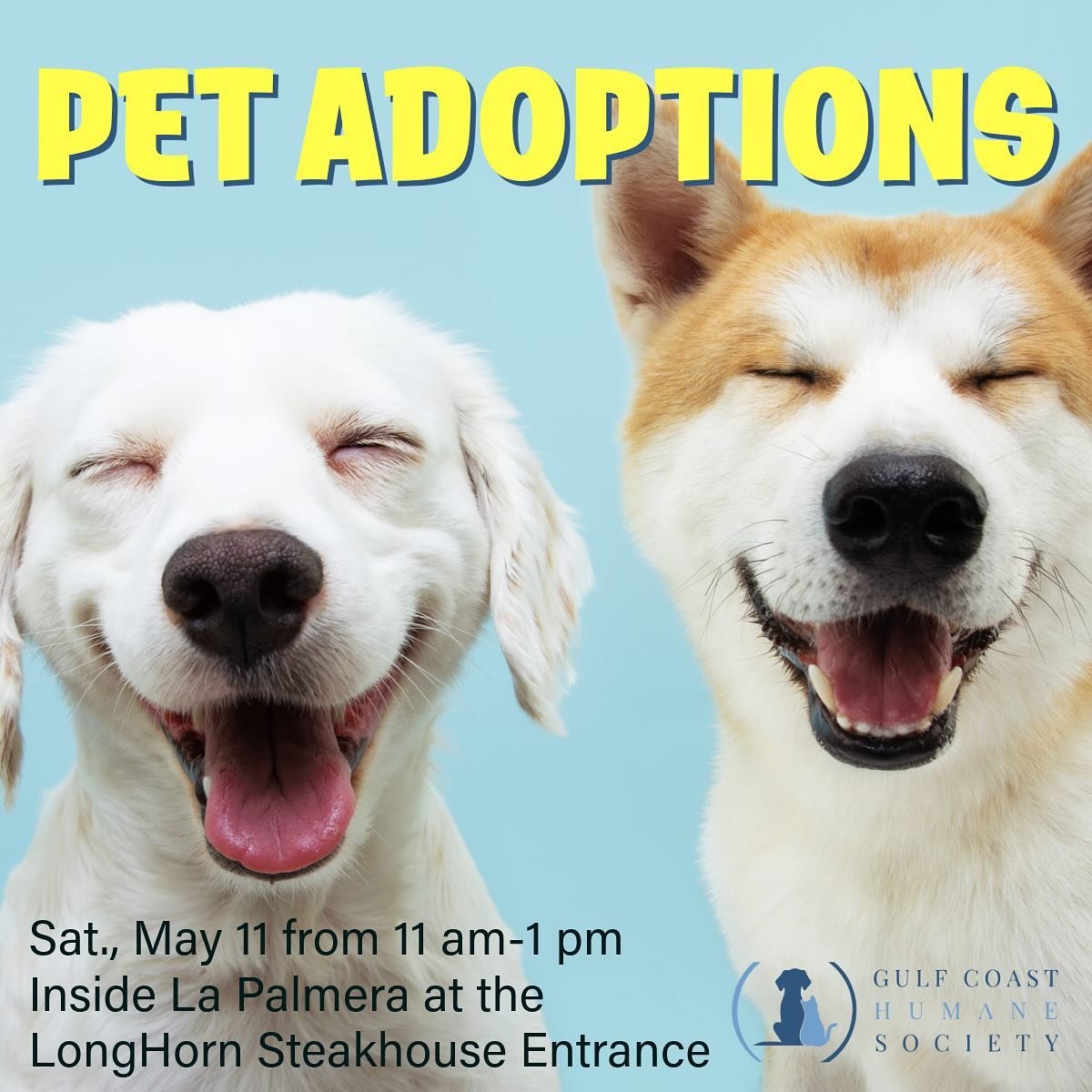 May is National Pet Month and La Palmera is celebrating! Gulf Coast Humane Society will be on-site near our new Pooch Wall with pet adoptions from 11 a.m.&ndash;1 p.m.

Our new Pooch Wall mural, featuring more than 500 local canine candids submitted 