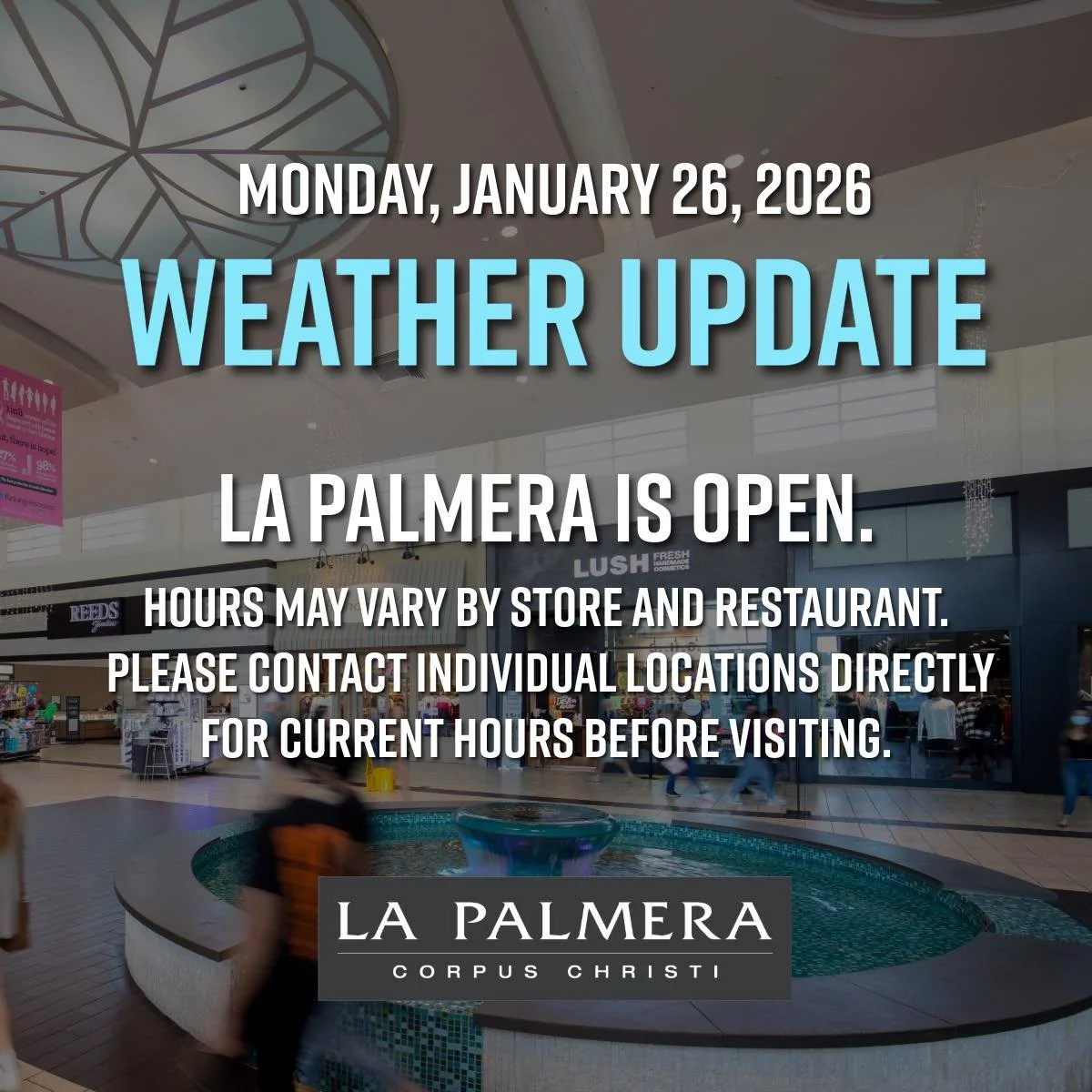 La Palmera is open today regular hours 10am-8pm. Please use caution and be safe in this inclement weather. Hours may vary by store and restaurant. Please contact individual locations for current hours of operation prior to visiting. Happy Monday, fol