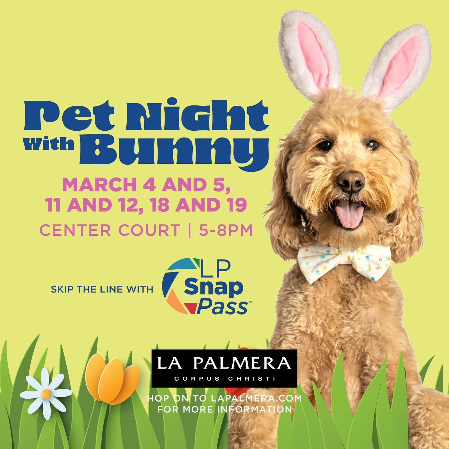Pet Nights with Bunny start this week! 🐾🐰 Six events are scheduled for 5&ndash;8 p.m. on Wednesday and Thursday, March 4 and 5, March 11 and 12, and March 18 and 19. All pets must remain on a leash or in a carrier at all times. Walk-ups are welcome