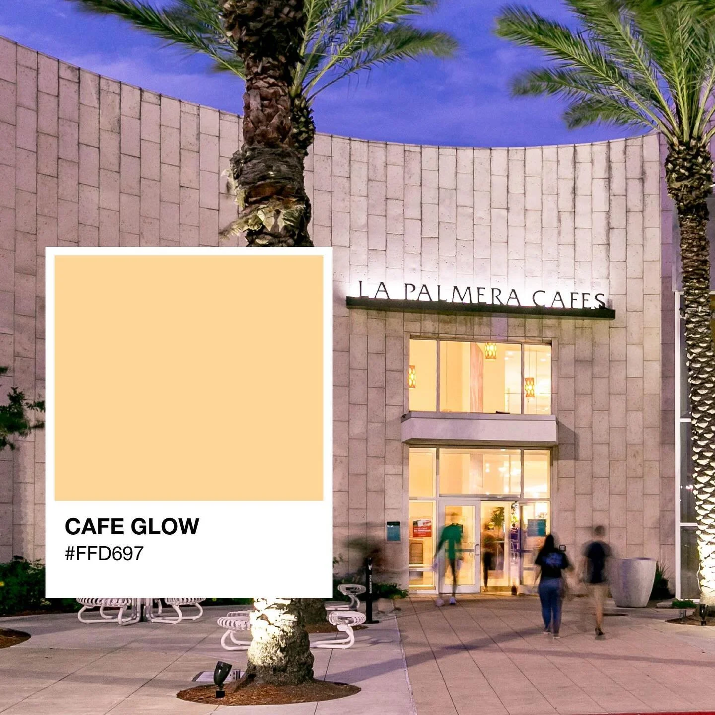 What&rsquo;s your favorite La Palmera color? 🎨 Comment below! Scroll ➡️ to see all the colors that capture our community at La Palmera. 🌴✨

#atthecenterofitall #pantonepicks #pantone #lapalmeracolors