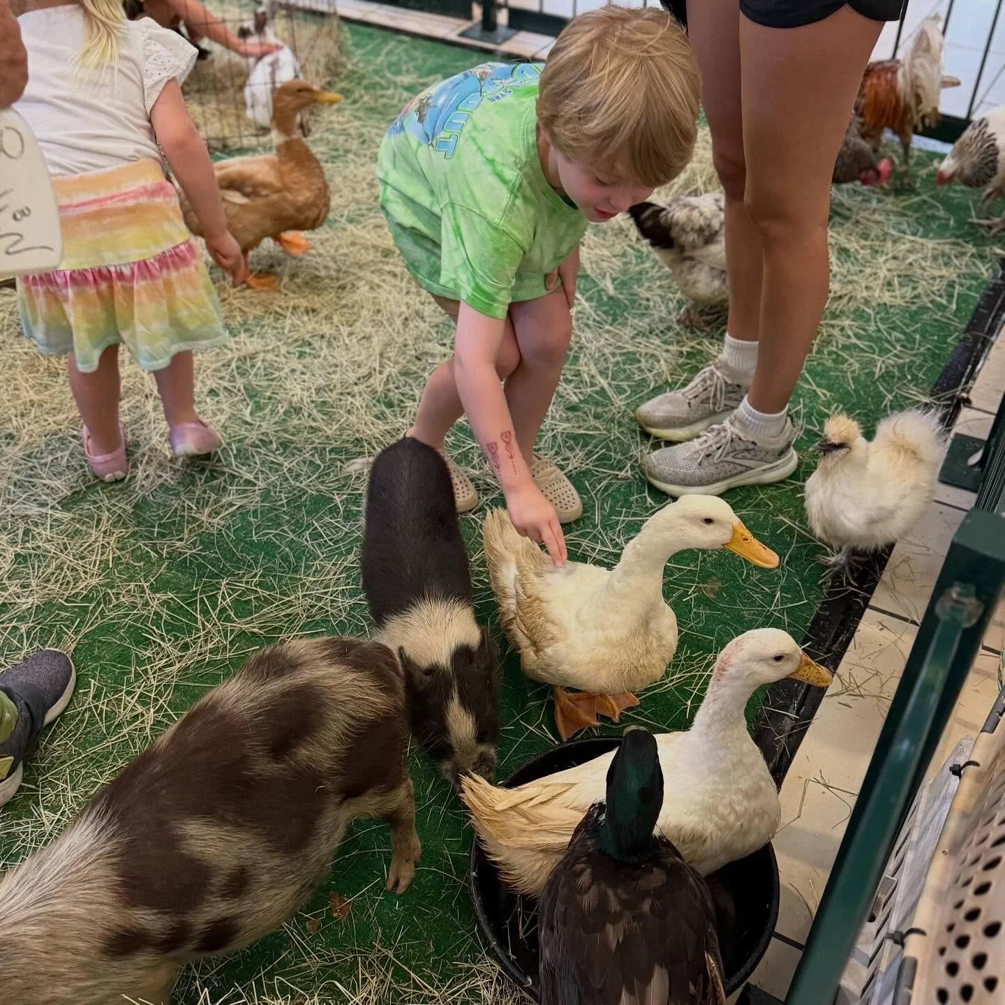 We&rsquo;re getting wild with &ldquo;hands-on Fridays&rdquo; at Camp La Palmera! 🦆🐥🐷 Stop in from 12pm-3pm for our petting zoo on Friday, June 12.

This event is part of our summer series called Camp La Palmera where we offer daily activities for 