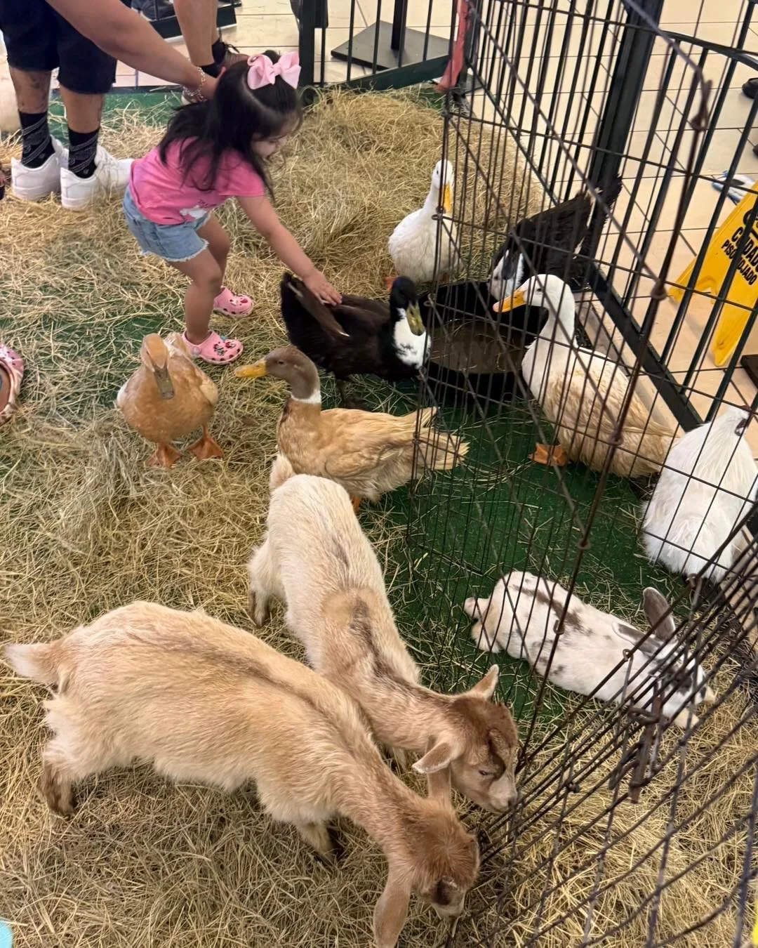 We&rsquo;re getting wild 🐾 at Camp La Palmera this week! 🐐🐥🐷 The petting zoo returns tomorrow (Friday) to Center Court from 12pm-3pm. And TODAY at 6pm at JCPenney Court, K Space Contemporary is hosting crafts for kids with bubble wrap bumblebees!