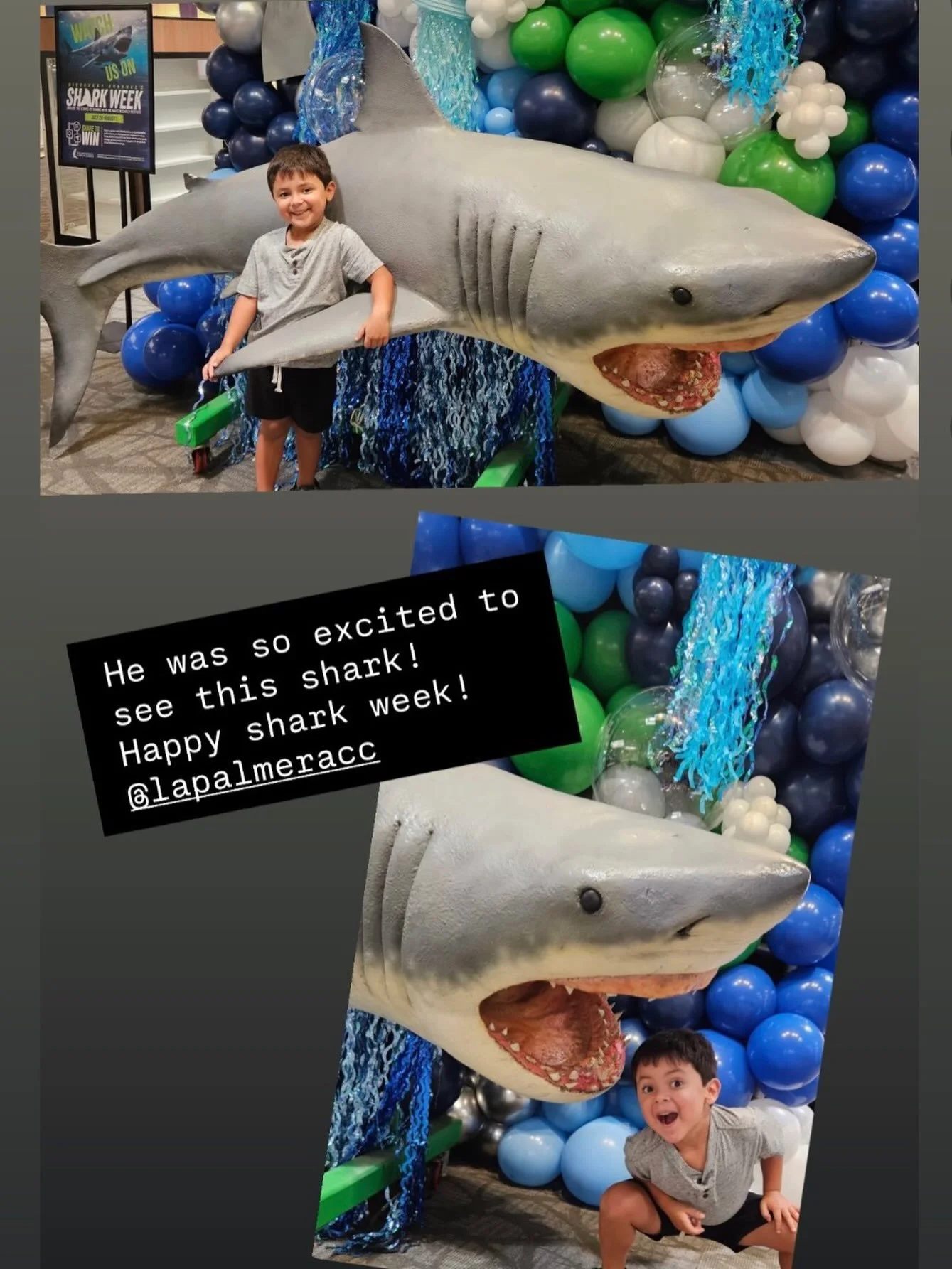 Congrats to our @island_university Shark Week Photo Contest Winner! Elijah will receive an Islander gift bag for taking these JAWSome photos! 🦈📸🦈