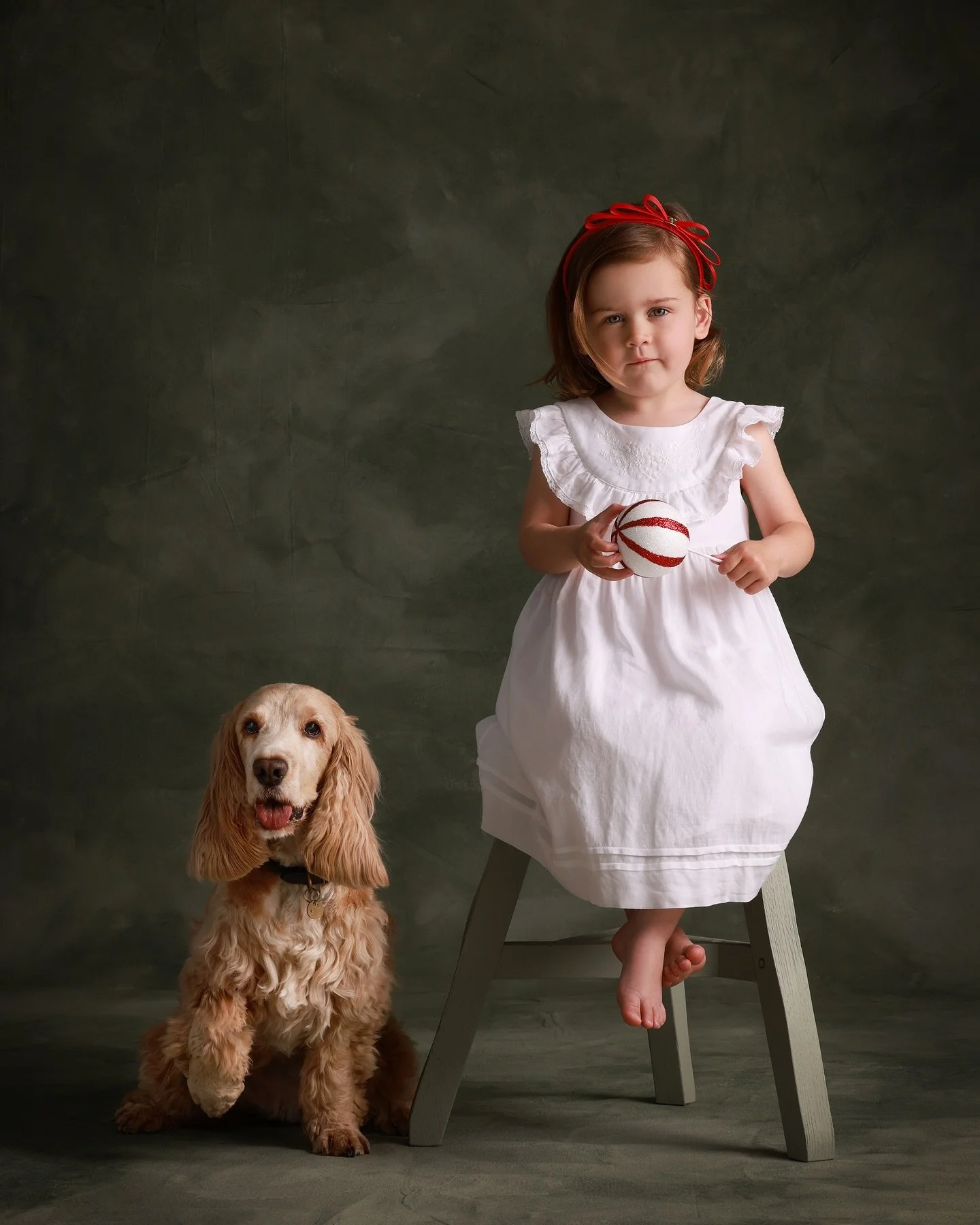 Christmas has arrived at Mark Morffew Studios! A gentle nod to the season - red, white and a loyal companion. Proof that Christmas portraits can be refined, understated and full of heart ❤️ 🐶🎄 Christmas Packages now available! #christmasportraits #
