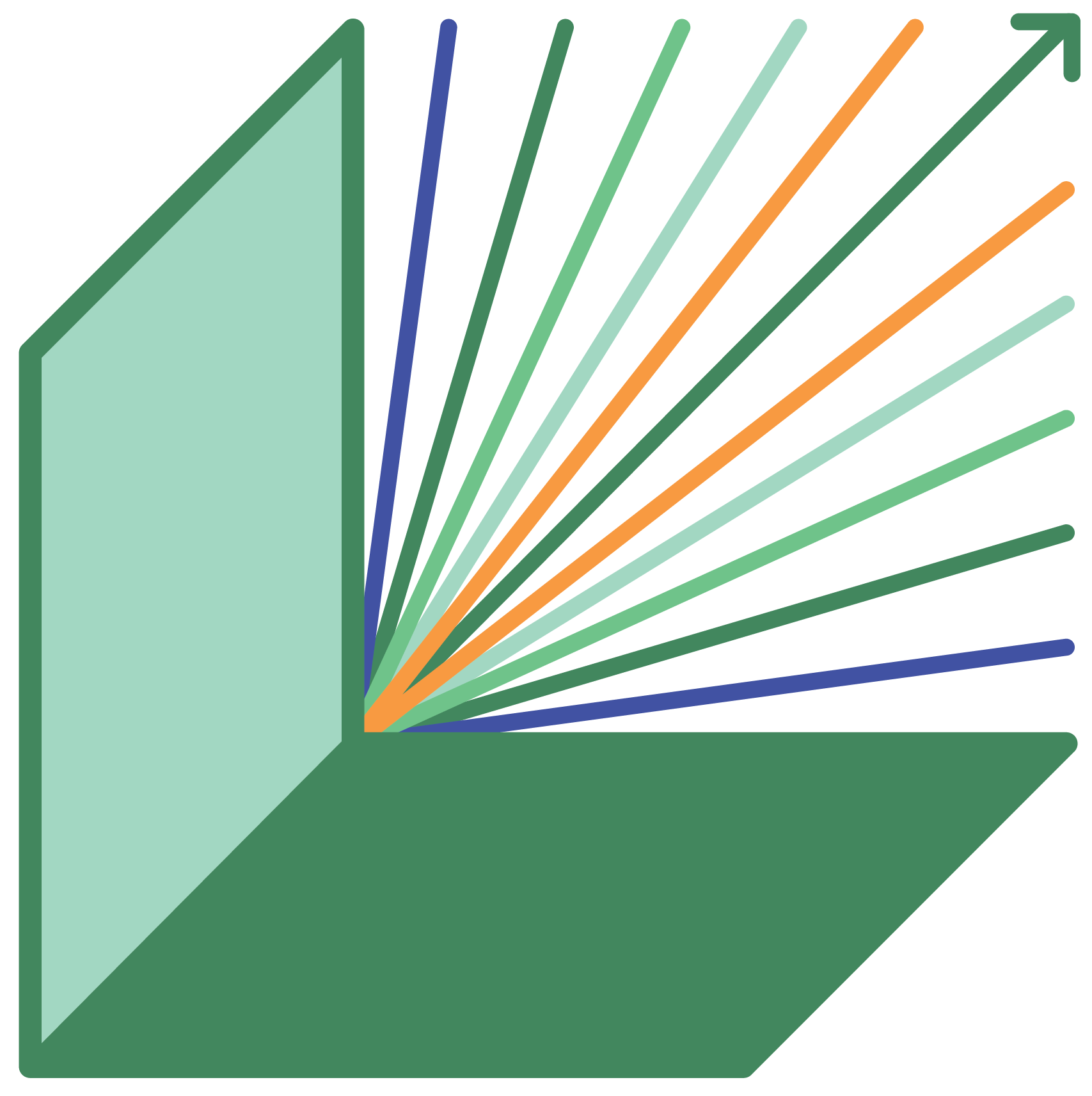 Case Study: Rebrand, Transition, Growth