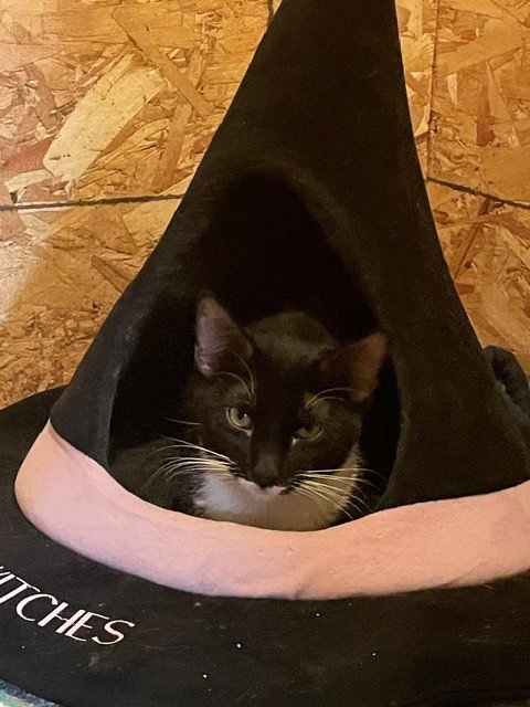 Oscar