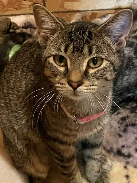 Tina