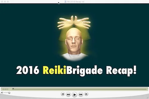 Reiki Brigade 2016 Recap