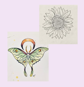 Screen Shot 2024-07-29 at 7.19.16 AM.png