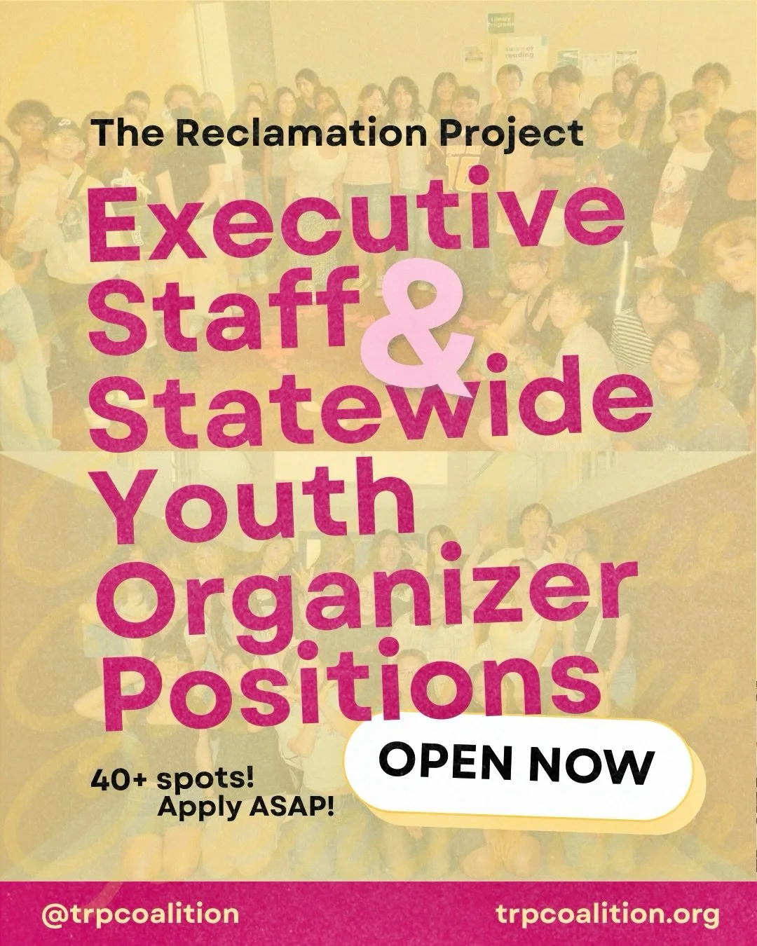 JOIN OUR TEAM ❤️&zwj;🔥🦋🌷🐛🍓 @trpcoalition EXECUTIVE STAFF &amp; STATEWIDE ORGANIZING TEAM POSITIONS are now OPENNN!!! 🌟 

Visit the full application LINK IN BIO 💌

The Reclamation Project is a globally-recognized, youth-led social justice organ