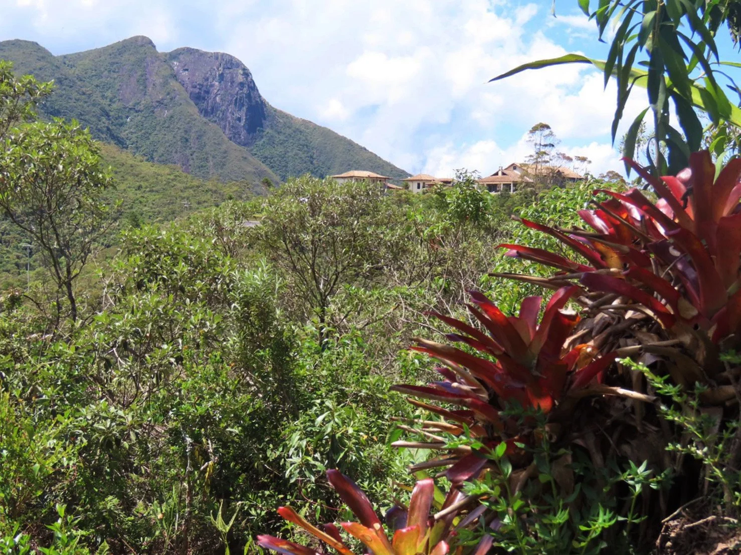 AfterlightImage 4.JPG