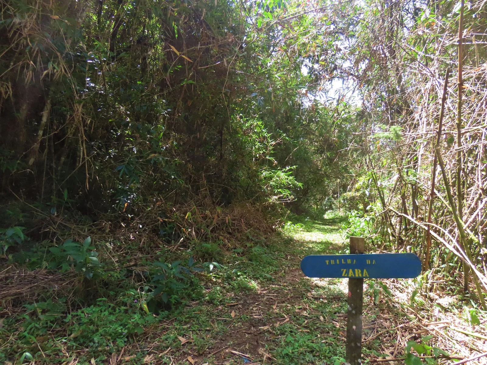 AfterlightImage 5.JPG