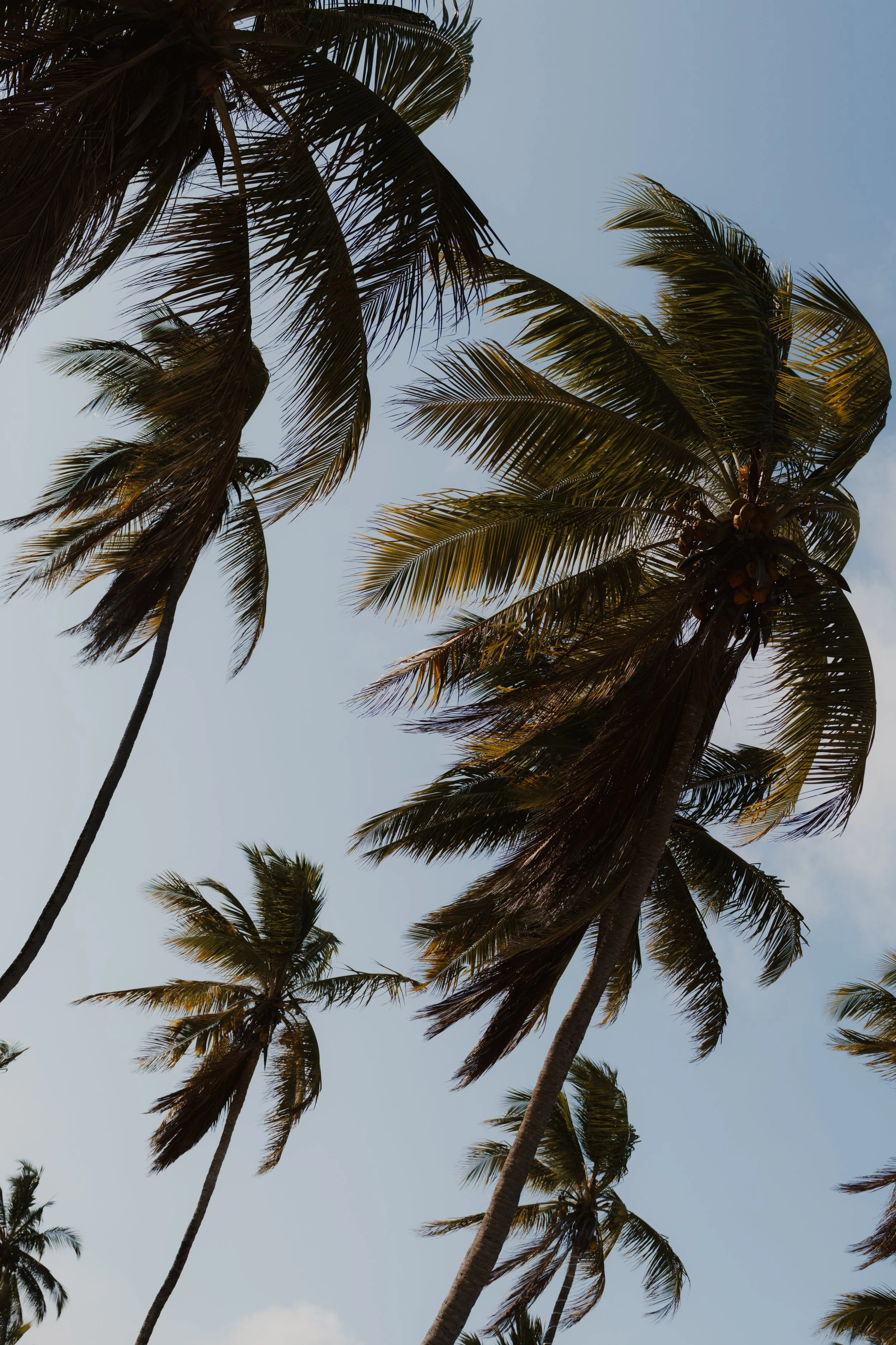 Summer in Zanzibar: What It's Really Like and Why It's Worth It&nbsp;