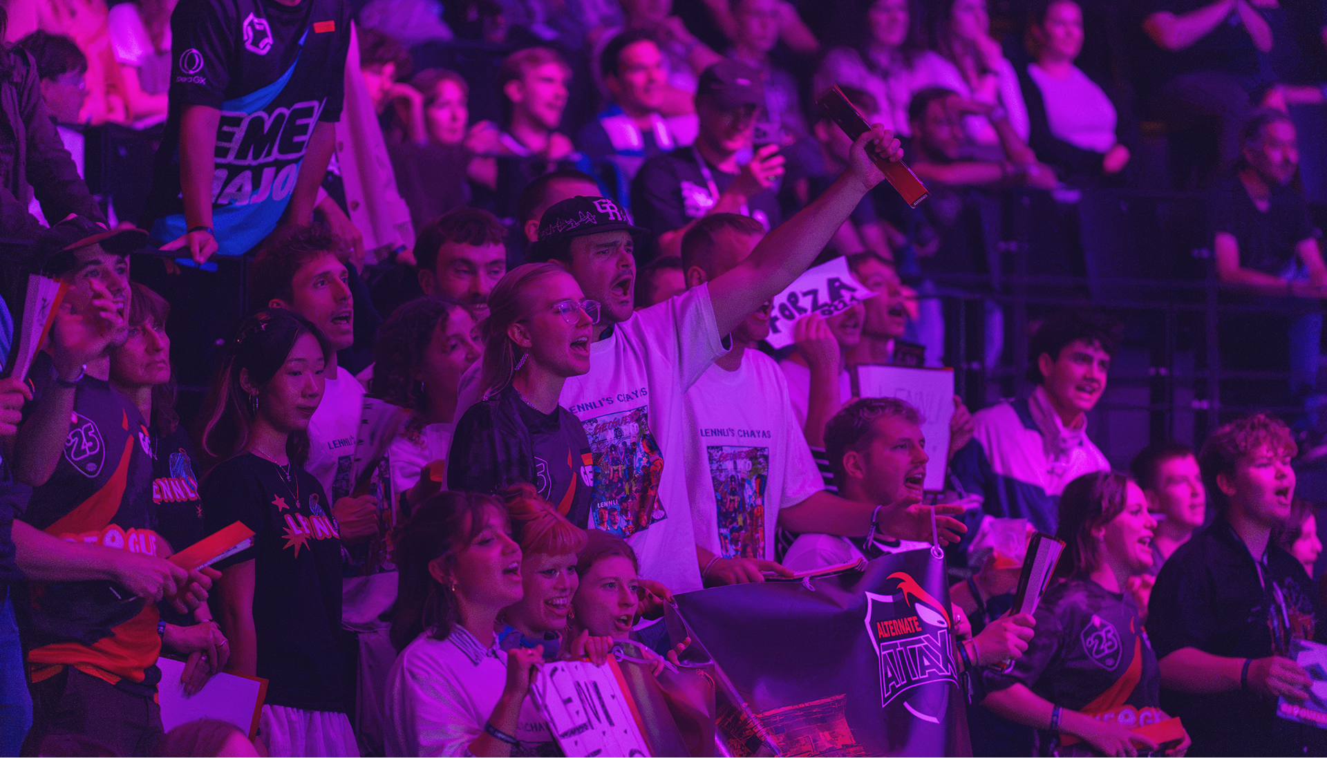 Gallery 034.png