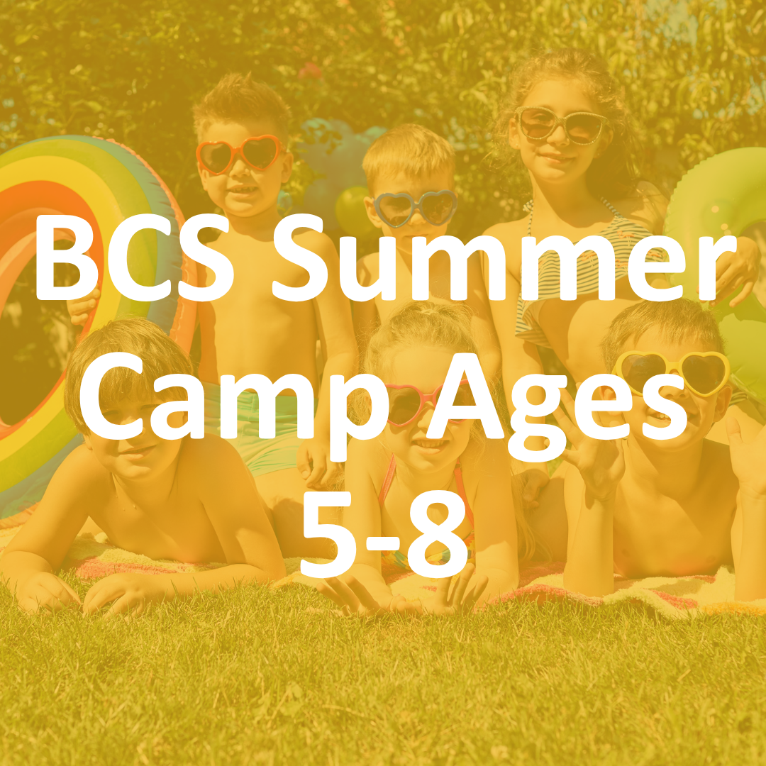 BCS Summer Camp 