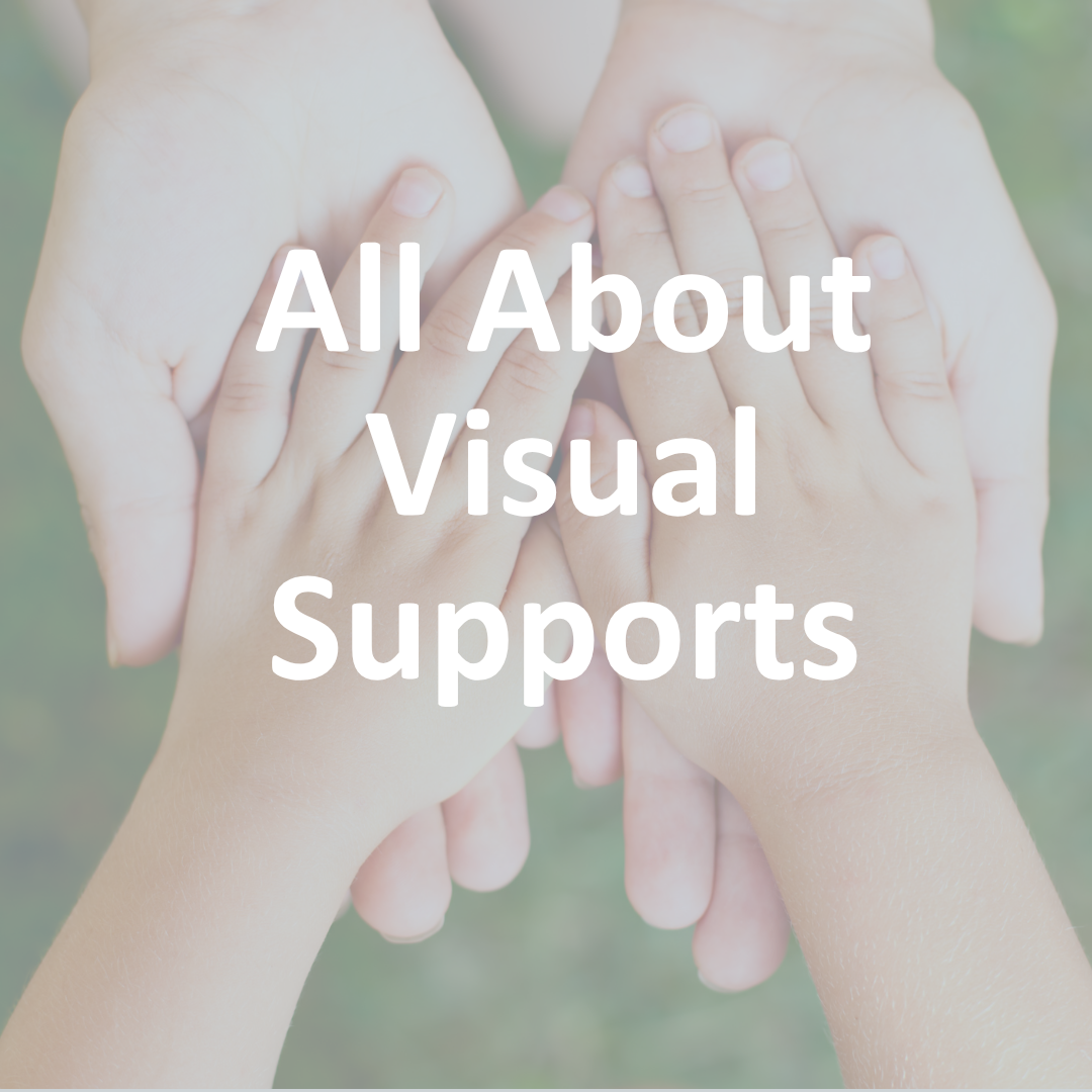 FREE Foundational: All About Visual Supports - Virtual