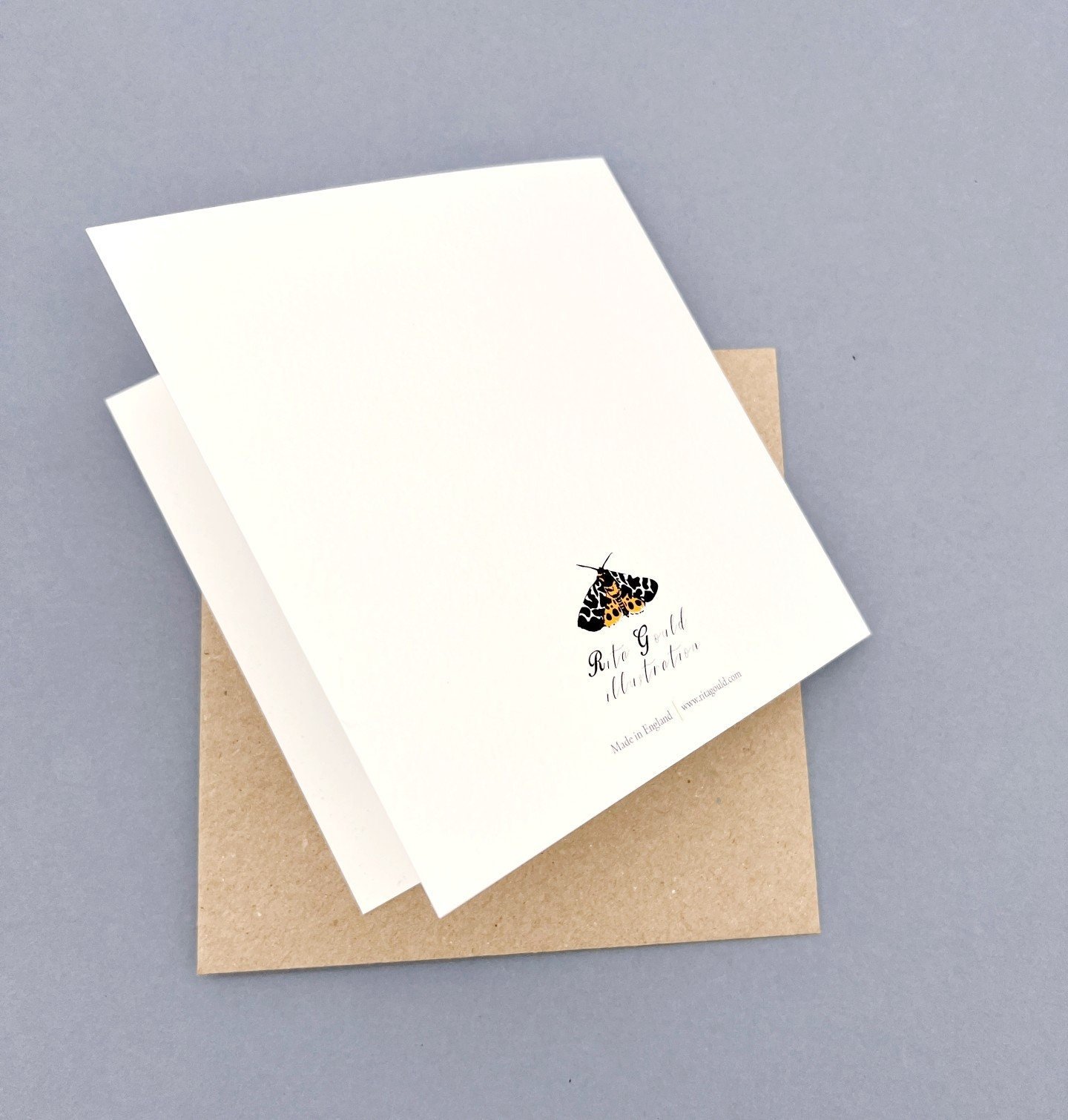 https://i.etsystatic.com/7372464/r/il/3f6252/4271138381/il_fullxfull.4271138381_pddl.jpg